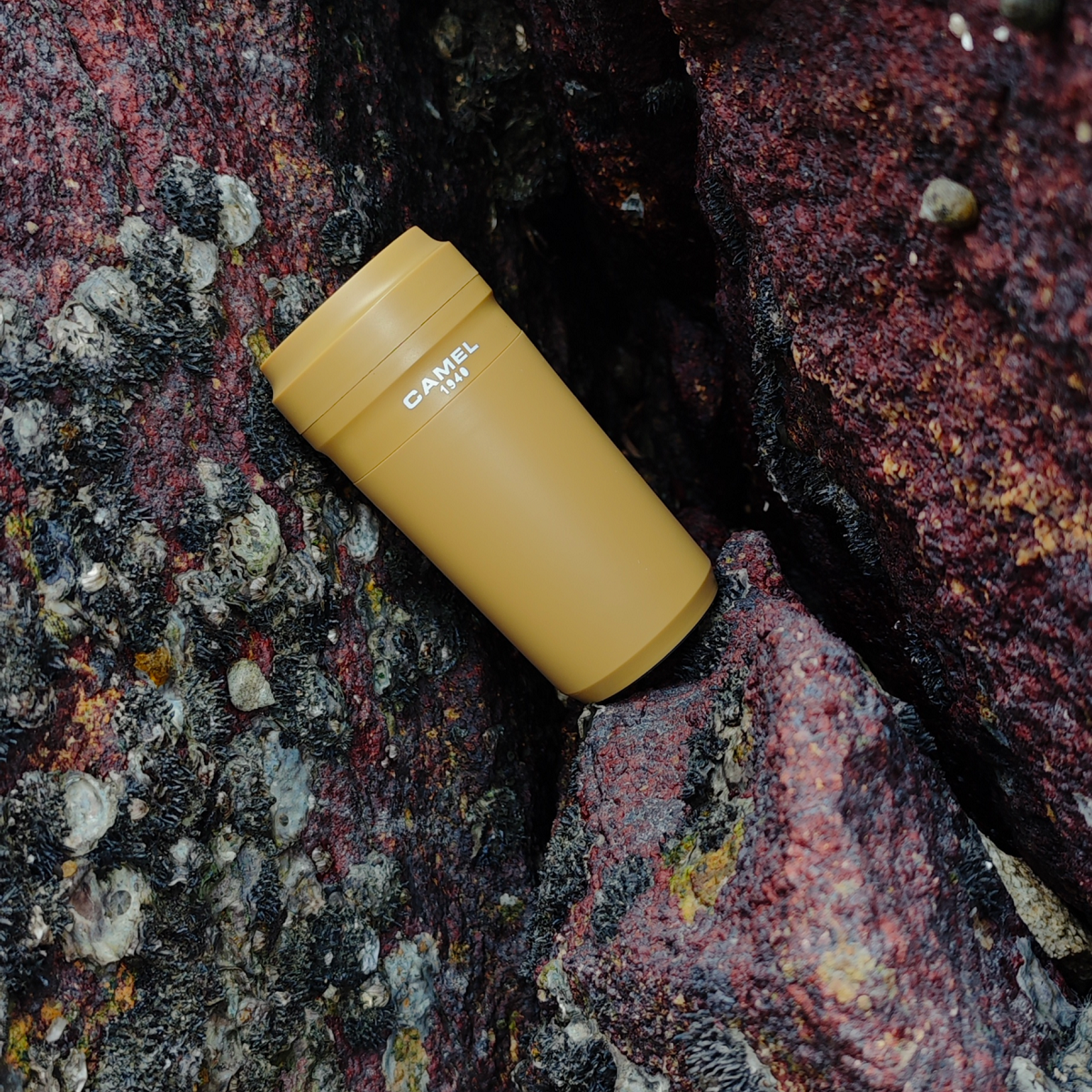 駱駝牌 真空玻璃膽保溫杯280毫升 - 卡其啡