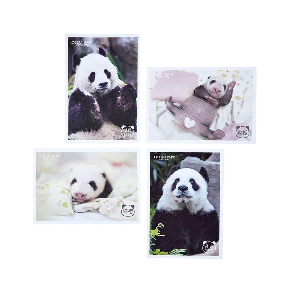 Postcard 4pcs Set - Ying Le & Babies