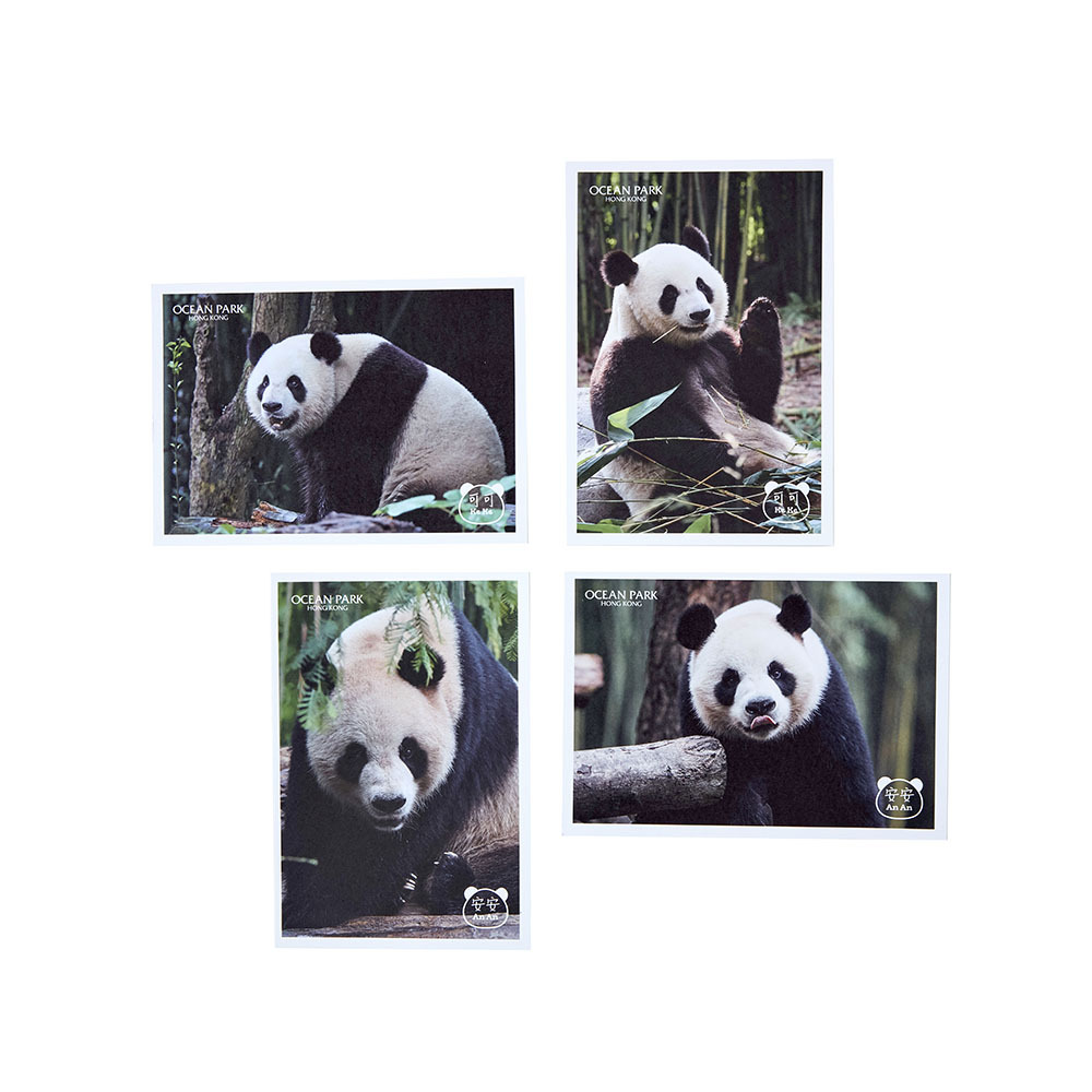 Postcard 4pcs Set – An An & Ke Ke