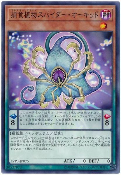 LVP3-JP075 捕食植物スパイダー・オーキッド(捕食植物 蜘蛛蘭)