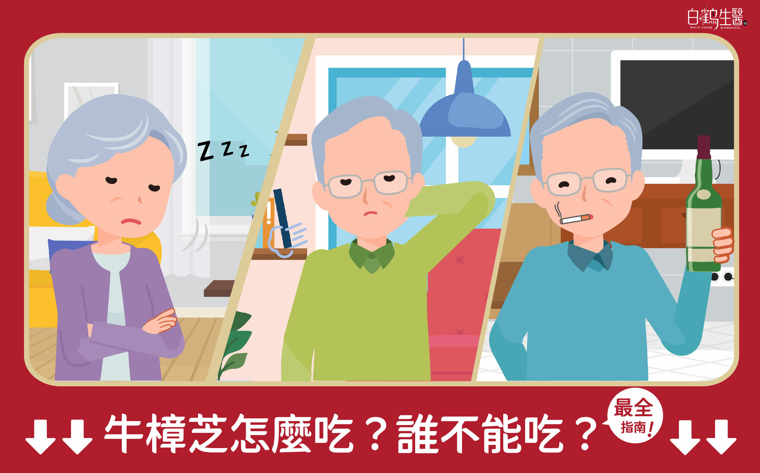 牛樟芝完整指南——購買前必看的食用方法與適用族群