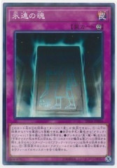 20TH-JPB06(NPR)永遠の魂(永遠之魂)