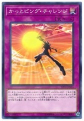 20TH-JPB24(NPR)かっとビング・チャレンジ(一飛衝天挑戰)