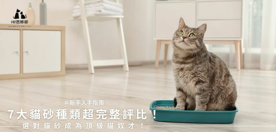 芭娜娜毛孩良品推薦貓砂選擇指南