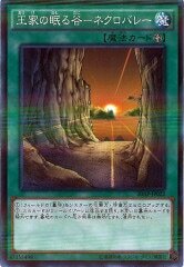 20AP-JP022（NPR） 王家の眠る谷－ネクロバレー（王家長眠之谷-逝者之峽）