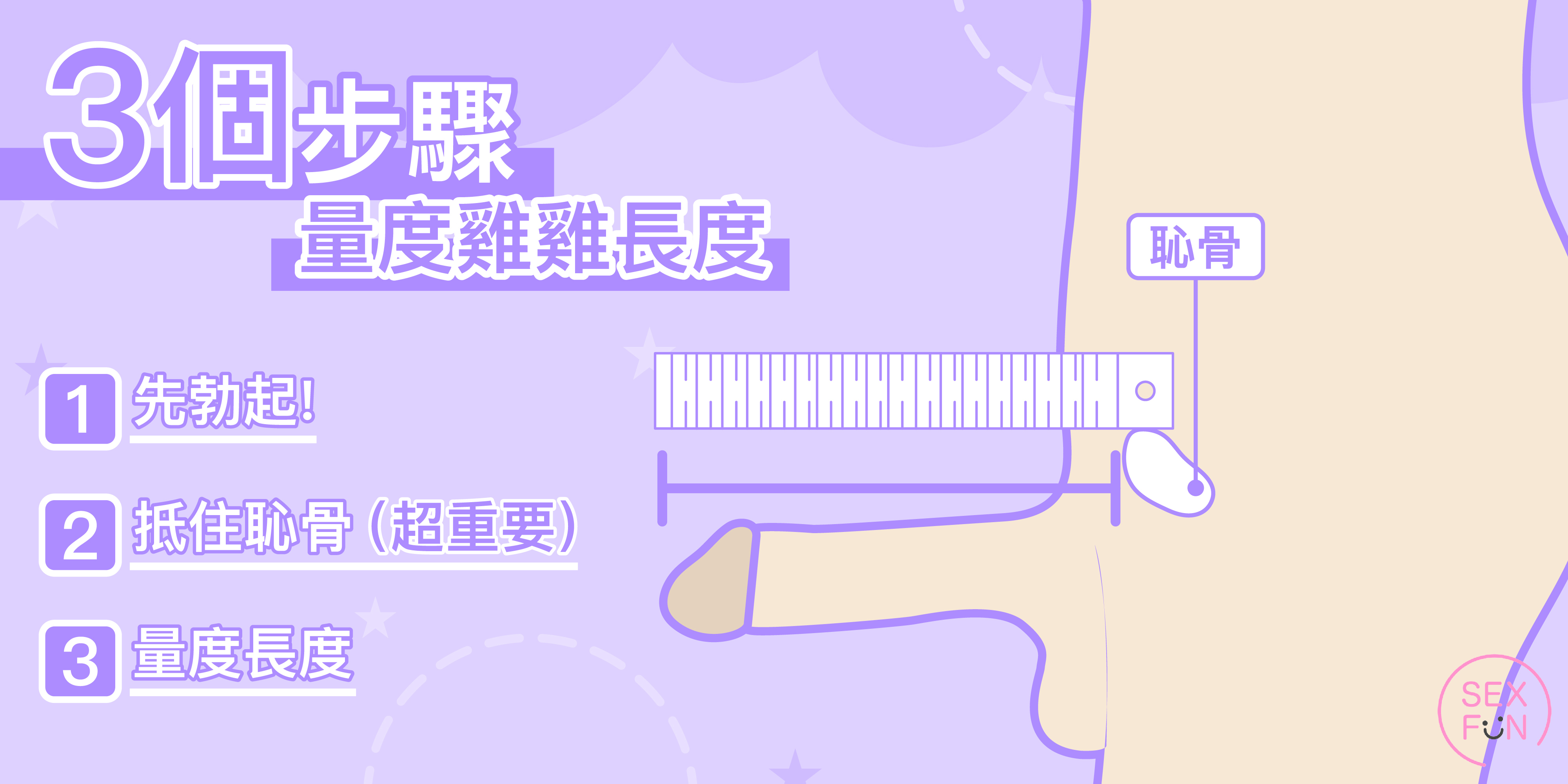 如何量度自己的雞雞的步驟。有一把尺子抵住恥骨位置的結構圖。
