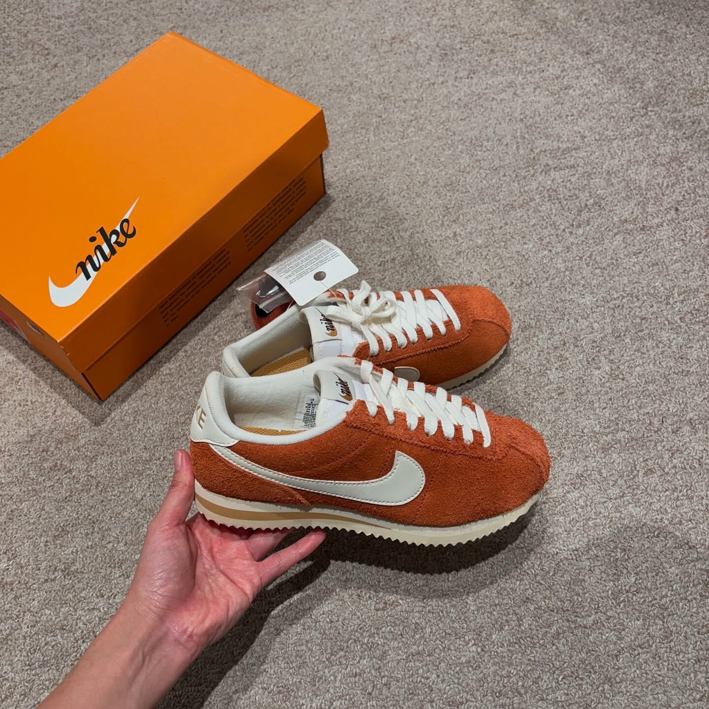 Nike Cortez SE 日本限定 楓葉棕 美拉德 棕色 阿甘 阿甘鞋 HF3142-200