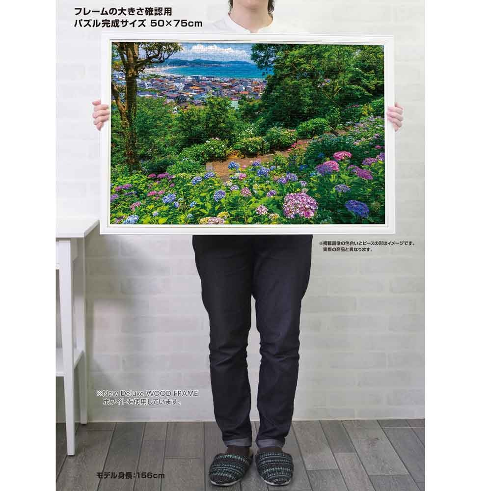 繡球花和由伊濱（神奈川縣）