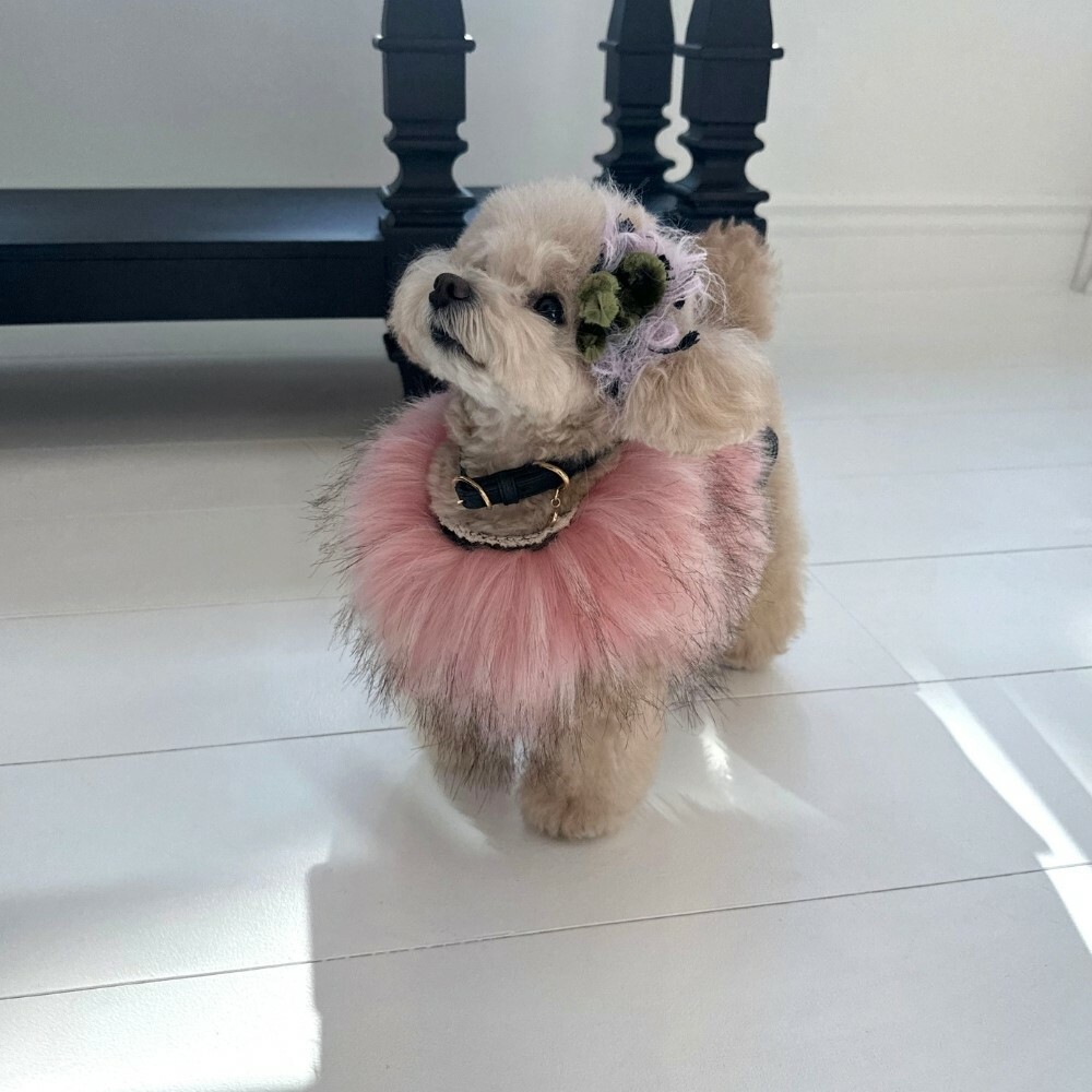 COZY-N 新奢華皮草胸背背心