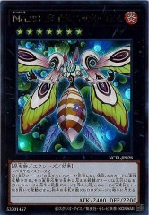 NCF1-JP028 No.28 タイタニック・モス（No.28 泰坦巨蛾）