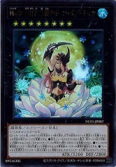 NCF1-JP087 No.87 雪月花美神クイーン・オブ・ナイツ（No.87 雪月花美神 月下美人）
