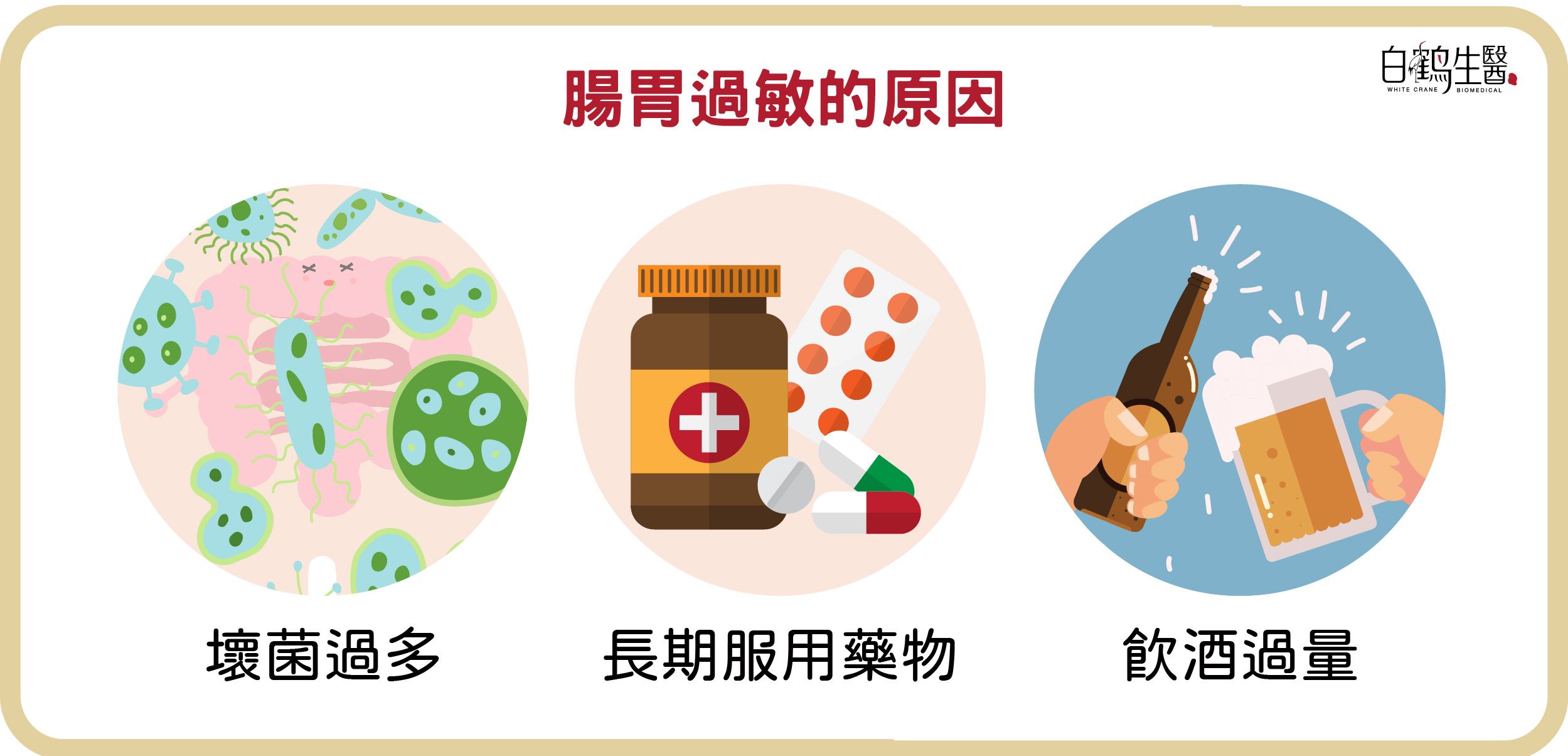 腸胃過敏的常見原因包含壞菌過多、長期服用藥物、飲酒過量