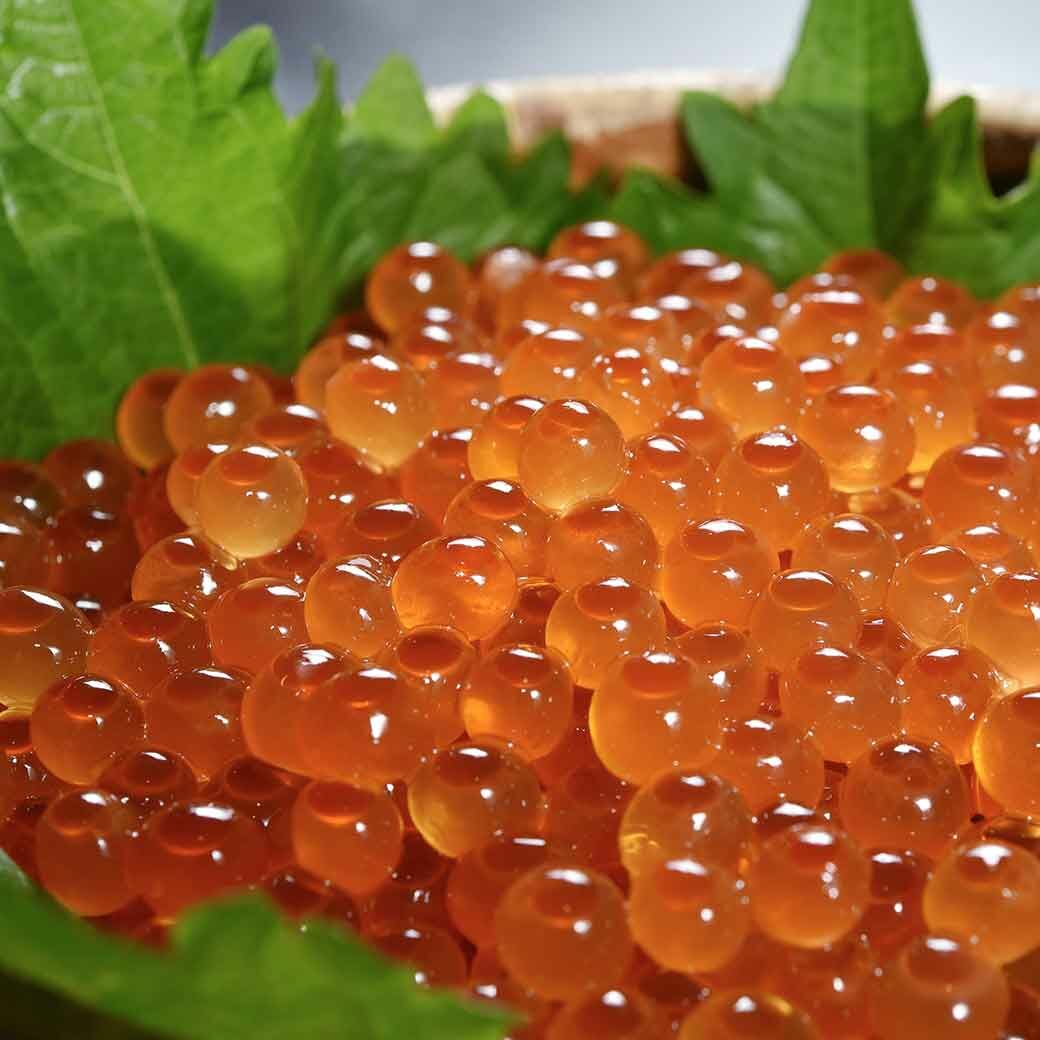 優質海鮮-原裝日本醃製鮭魚卵 500g