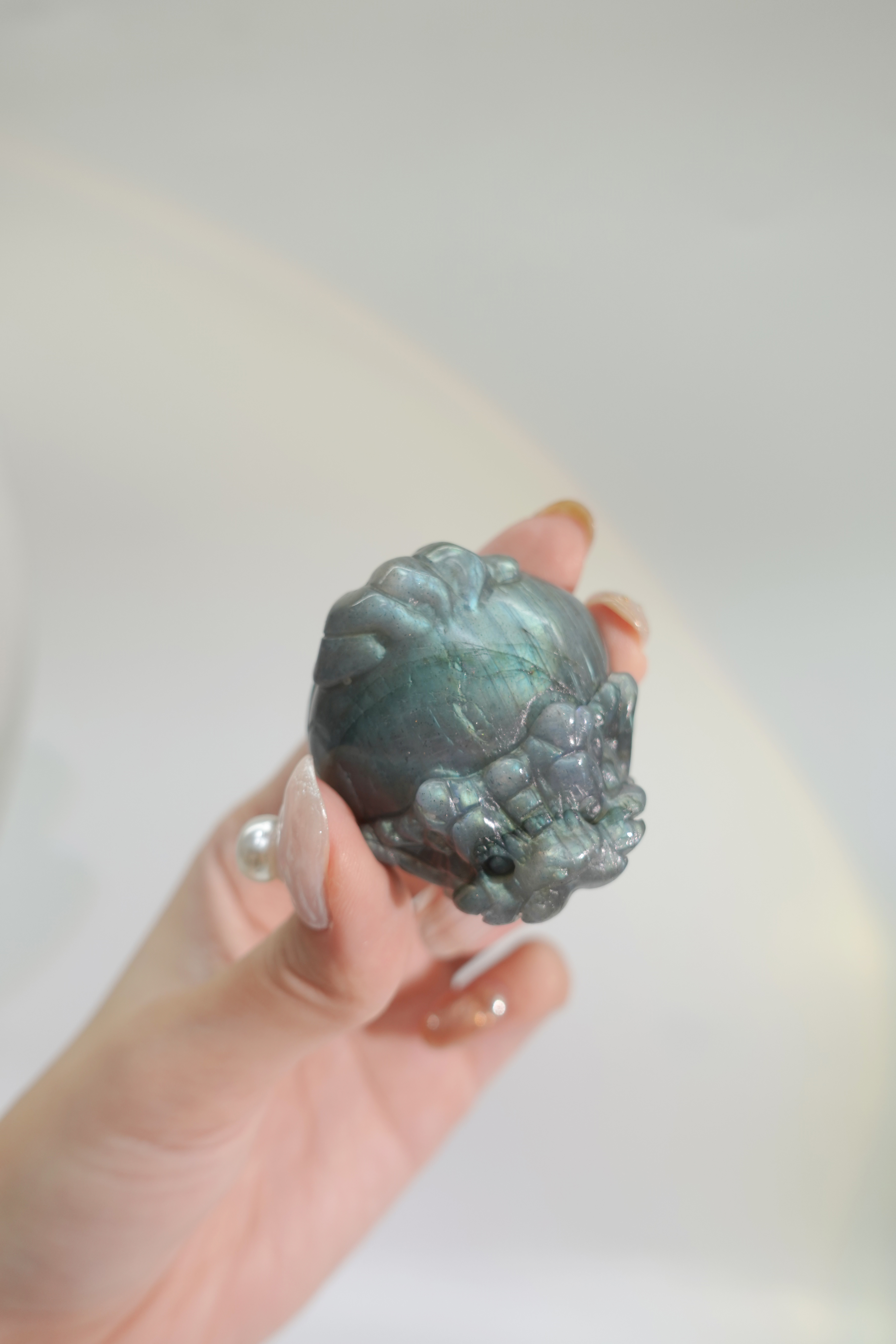 商人最愛招財拉長 金屬光龍龜