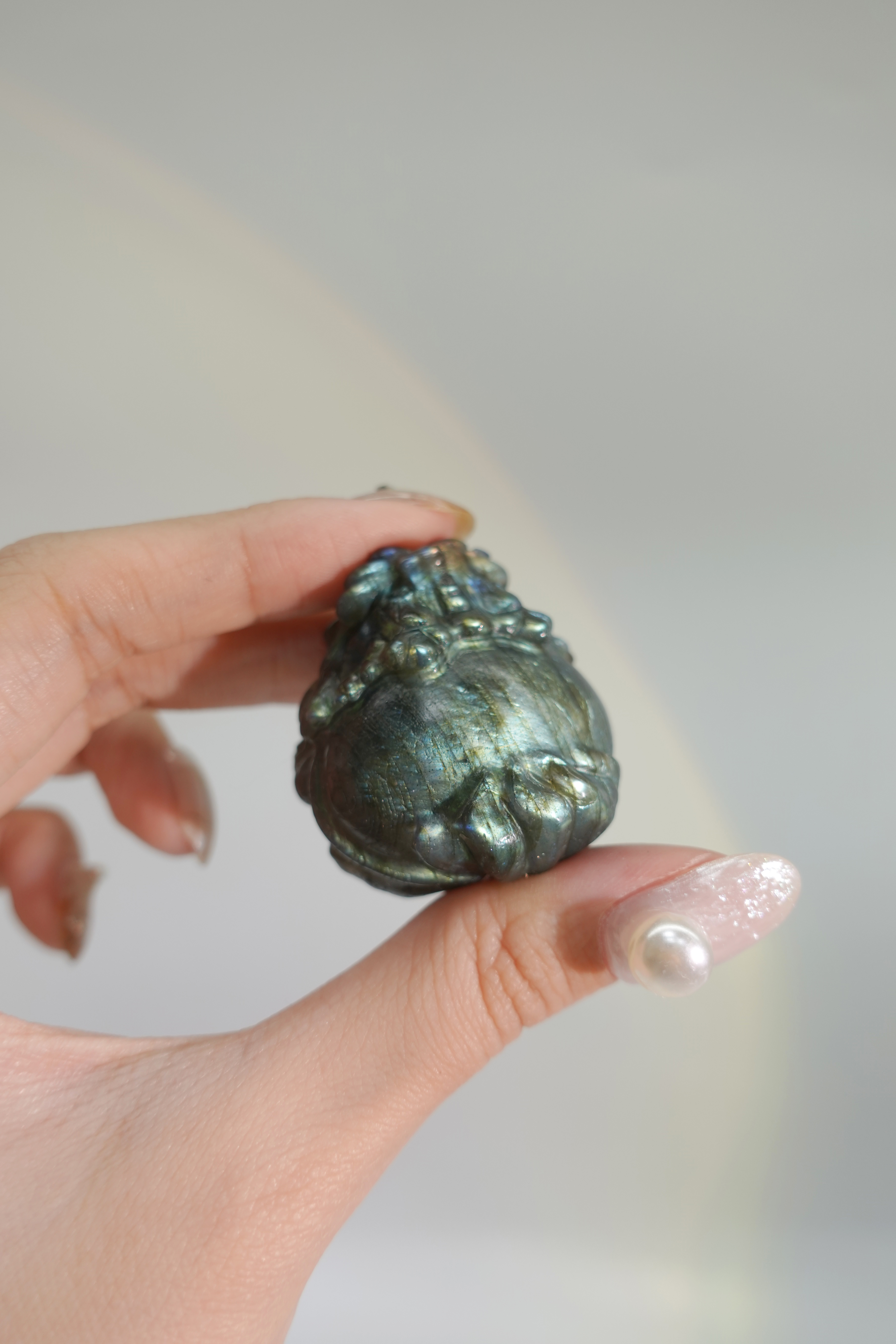 商人最愛招財拉長 金屬綠光龍龜