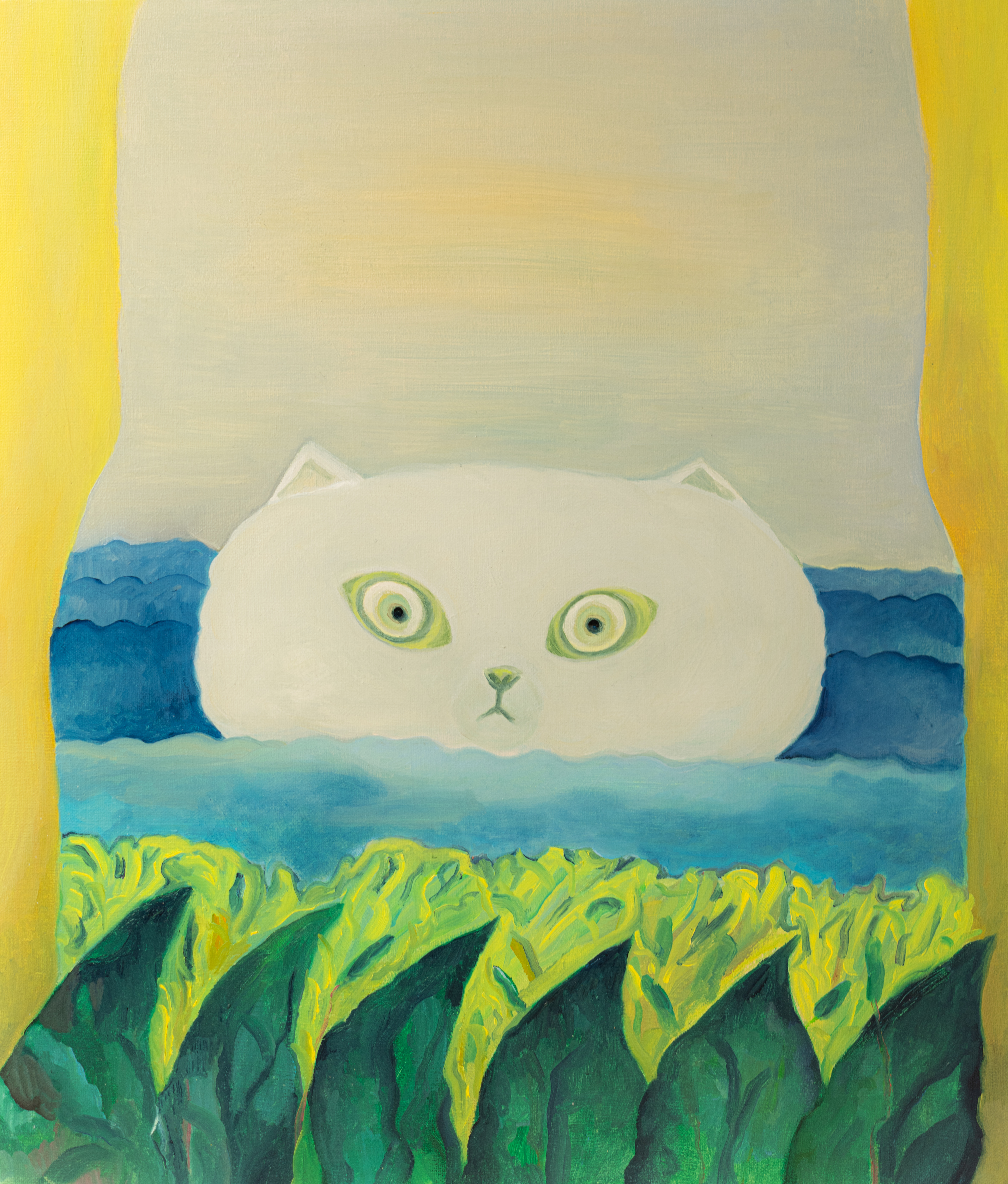 長本真衣 Mai Nagamoto - The Extraordinary