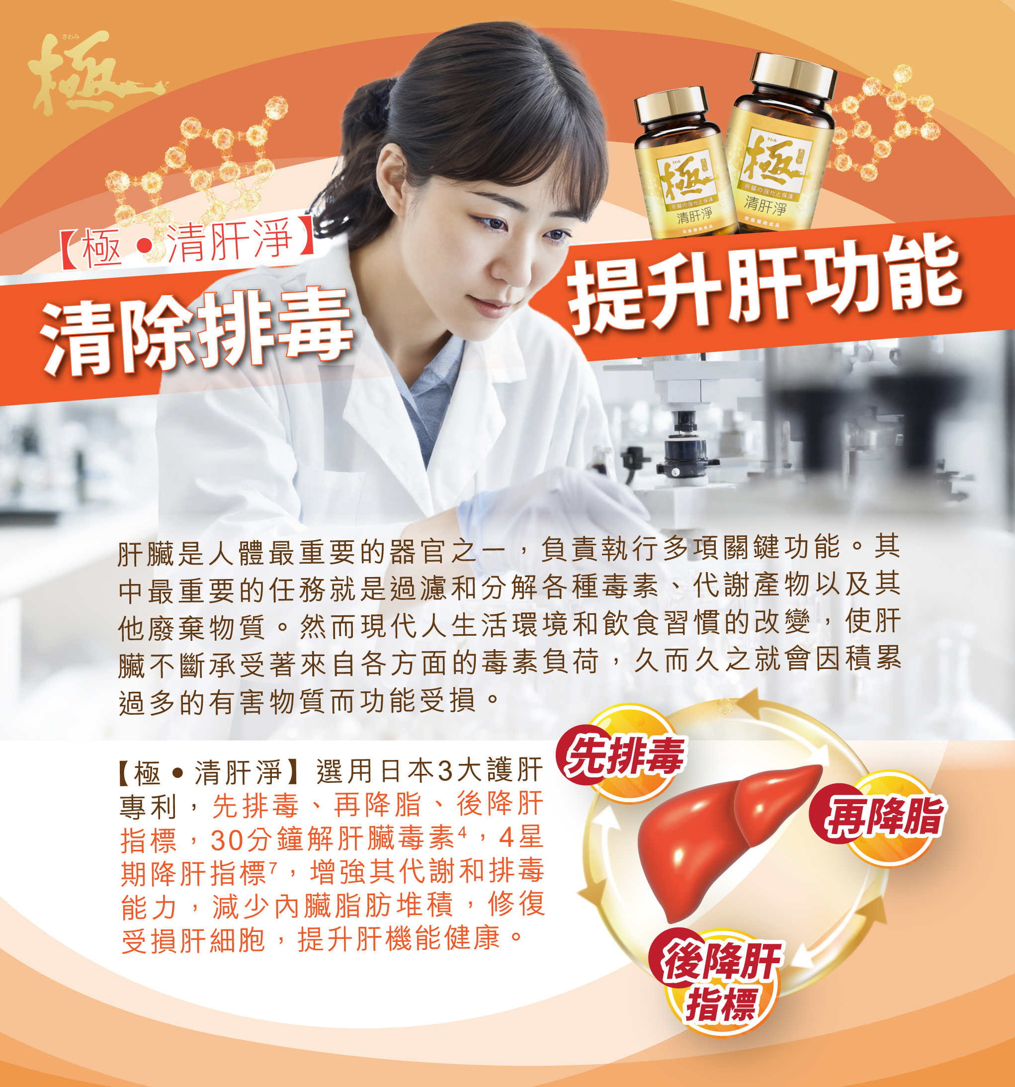 【極‧清肝淨】清除排毒 提升肝功能