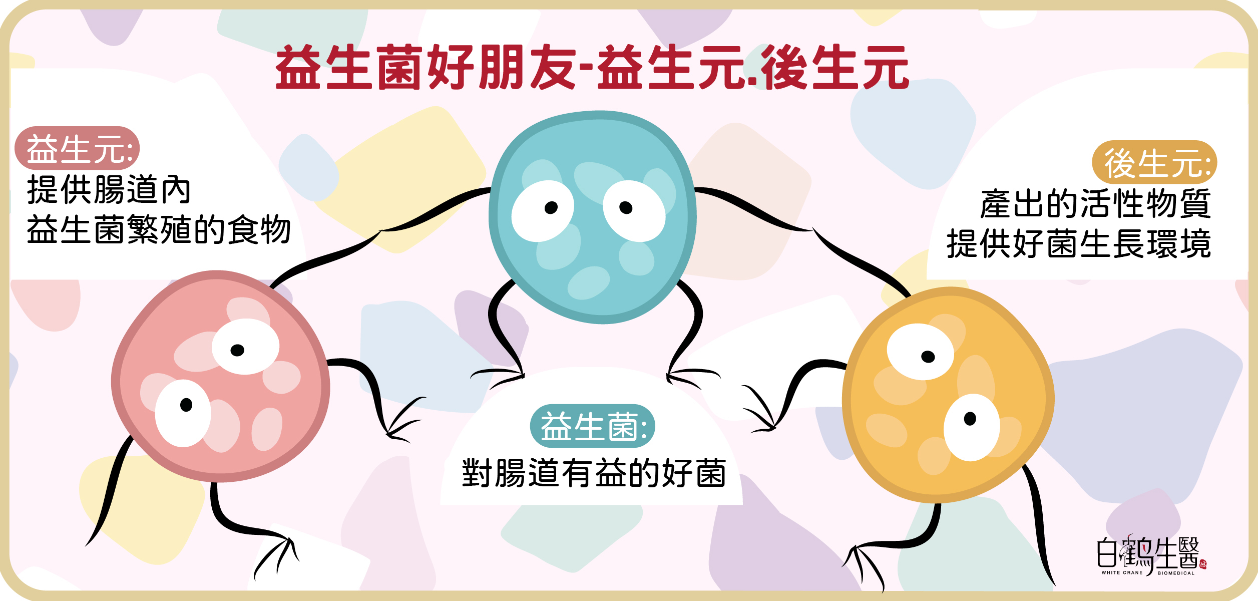 益生菌、益生元、後生元三者相輔相成