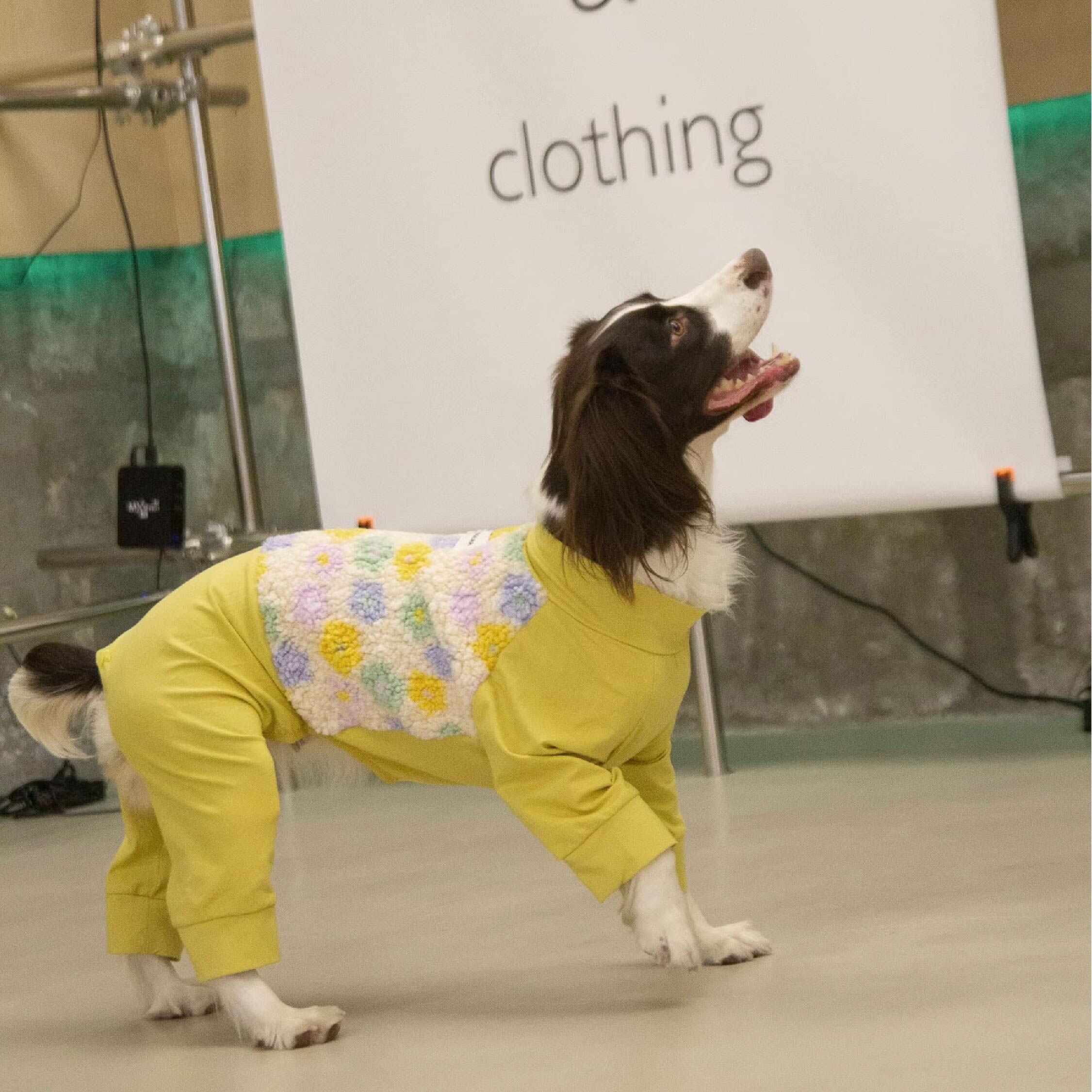 DOGKUMA - 羊羔毛拼接四腳衣