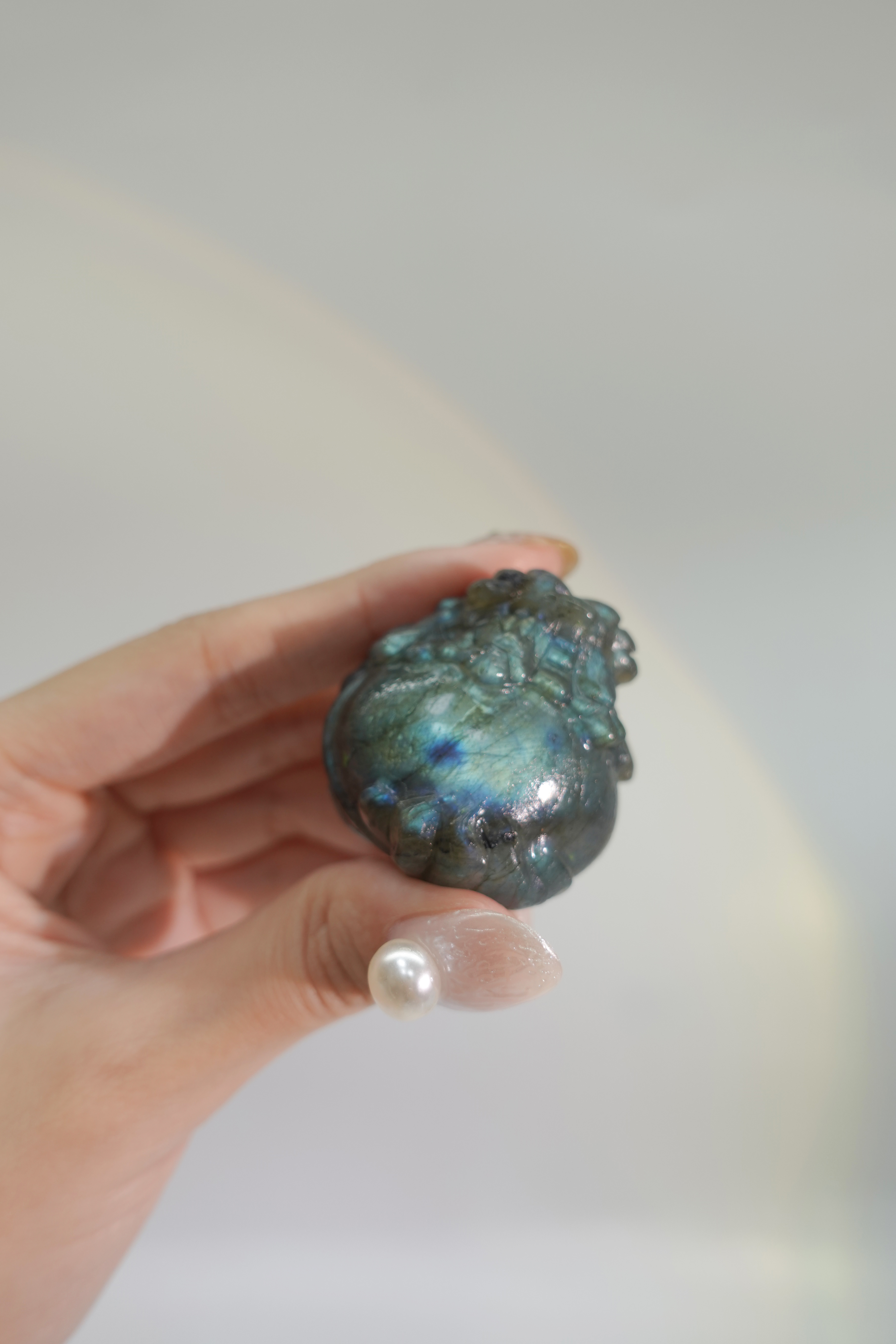 商人最愛招財拉長 黃綠光龍龜