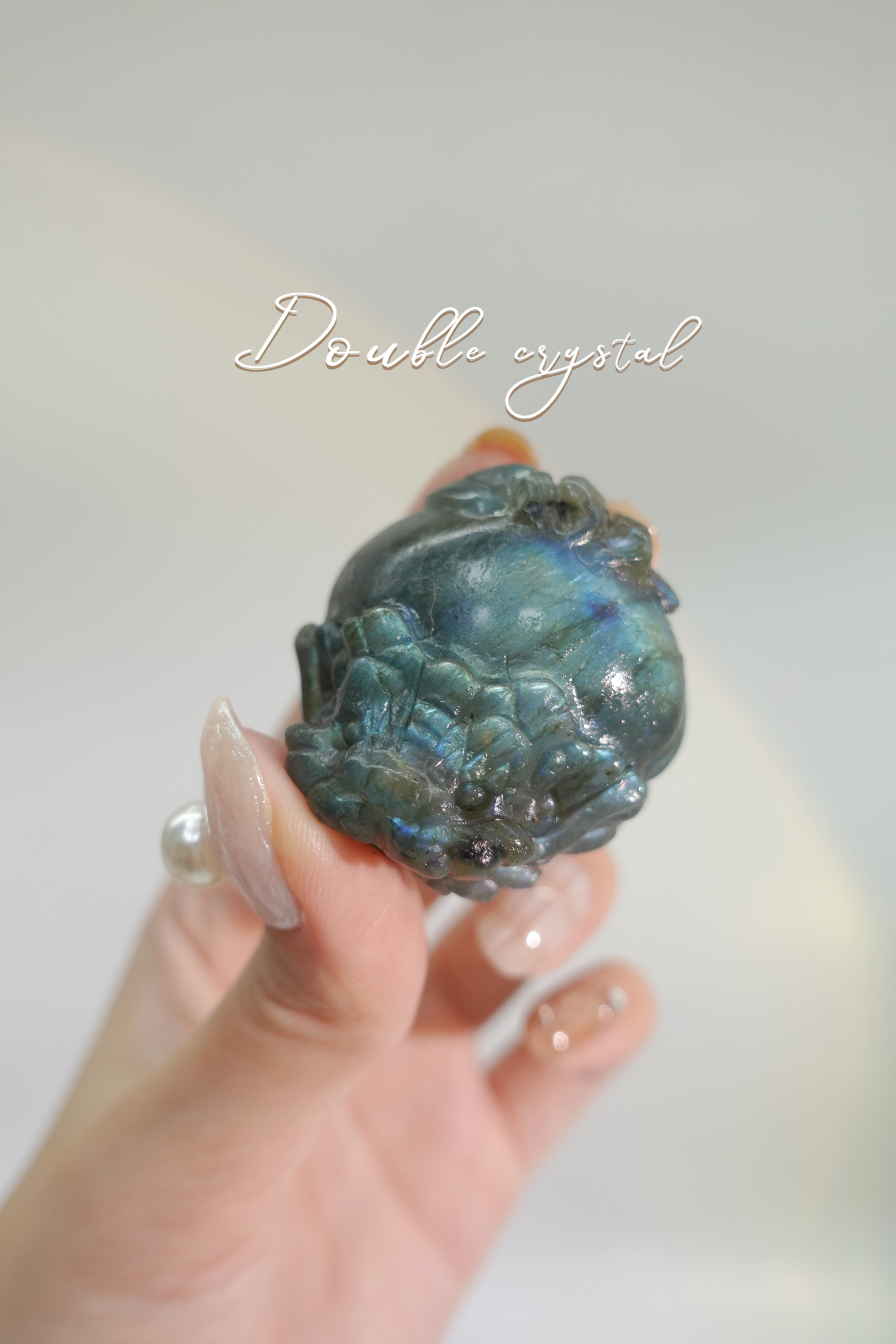 商人最愛招財拉長 黃綠光龍龜