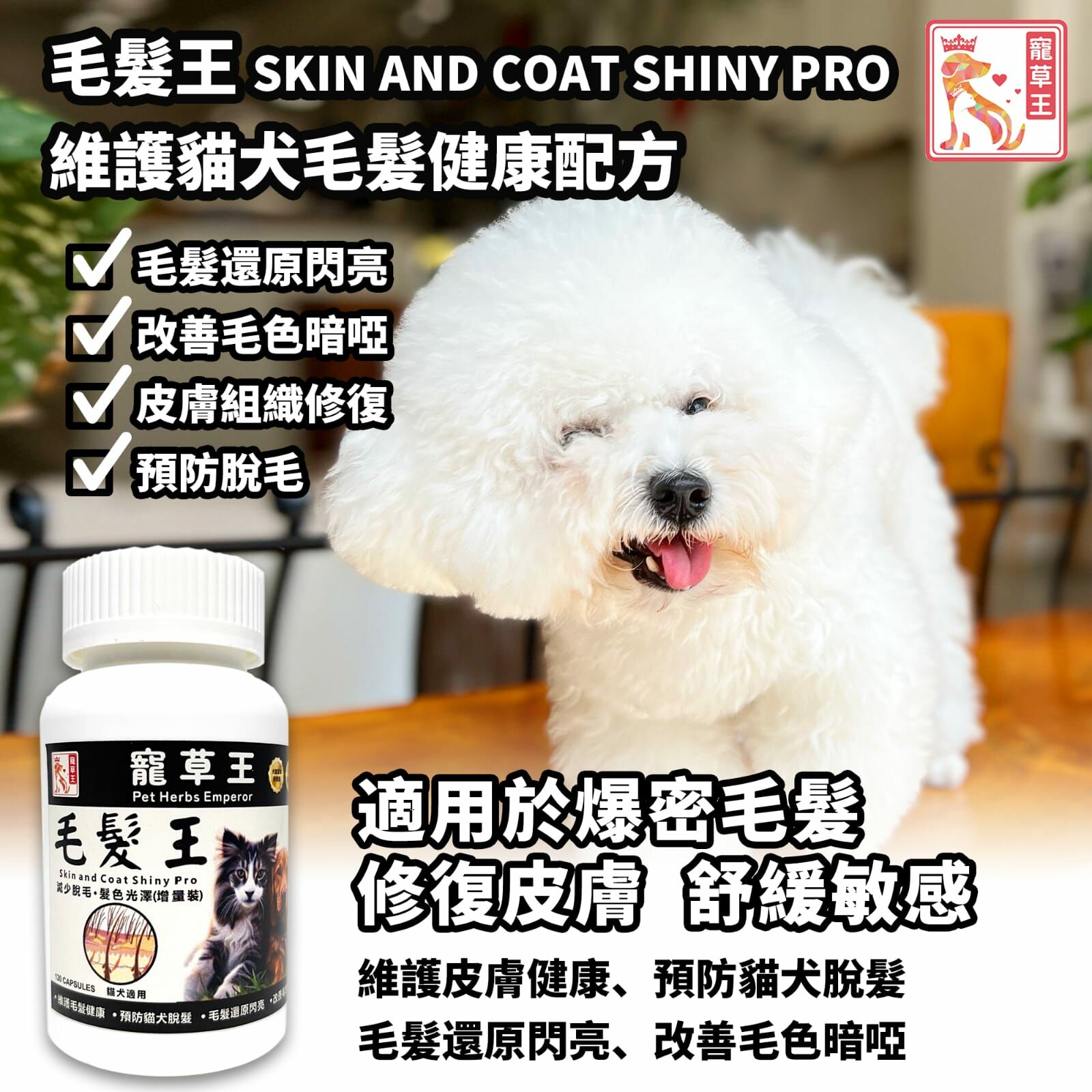 Pet Pet King Skin and Coat Shiny Pro 120 Capsules