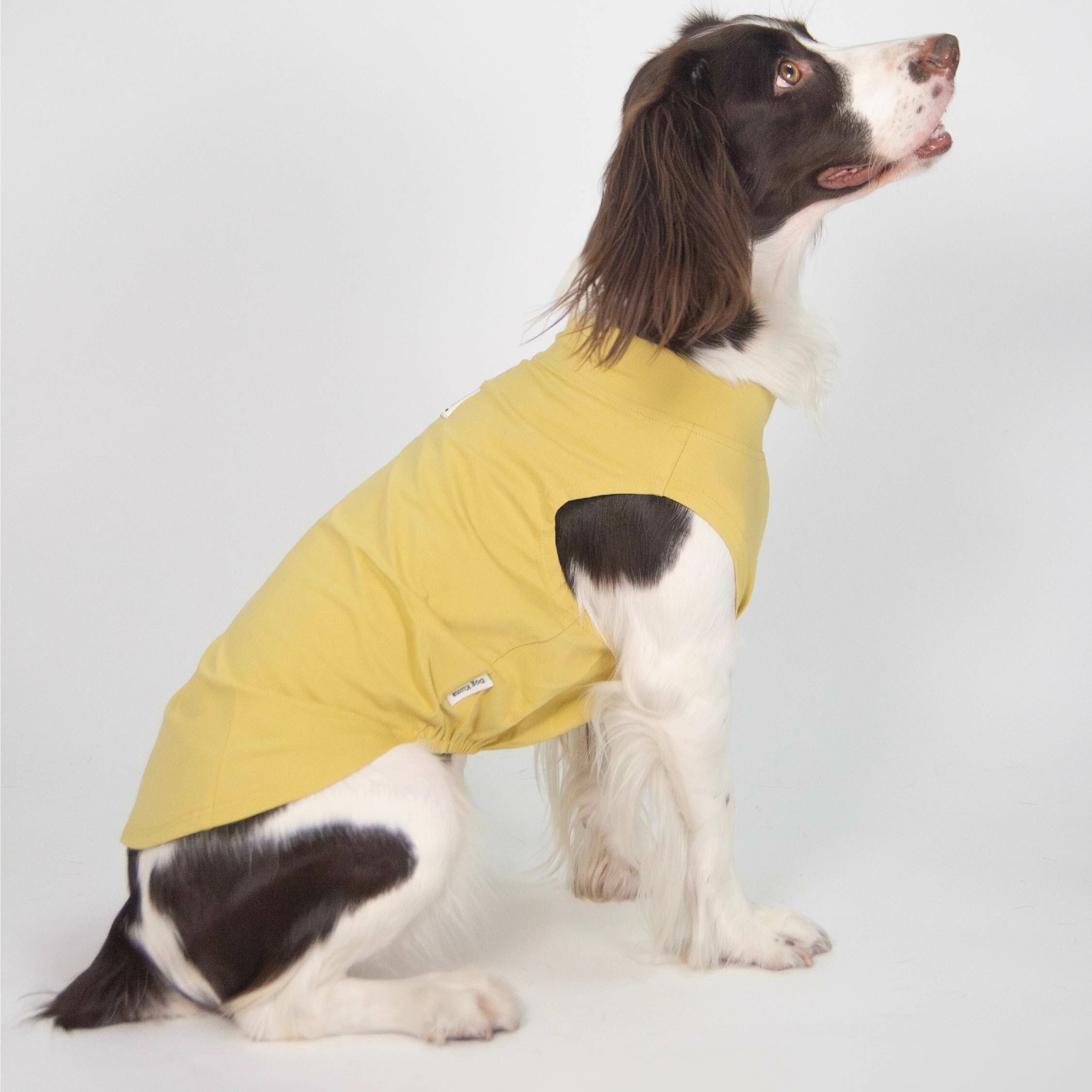 DOGKUMA - 多巴胺背心 (炭灰綠/鵝黃色)