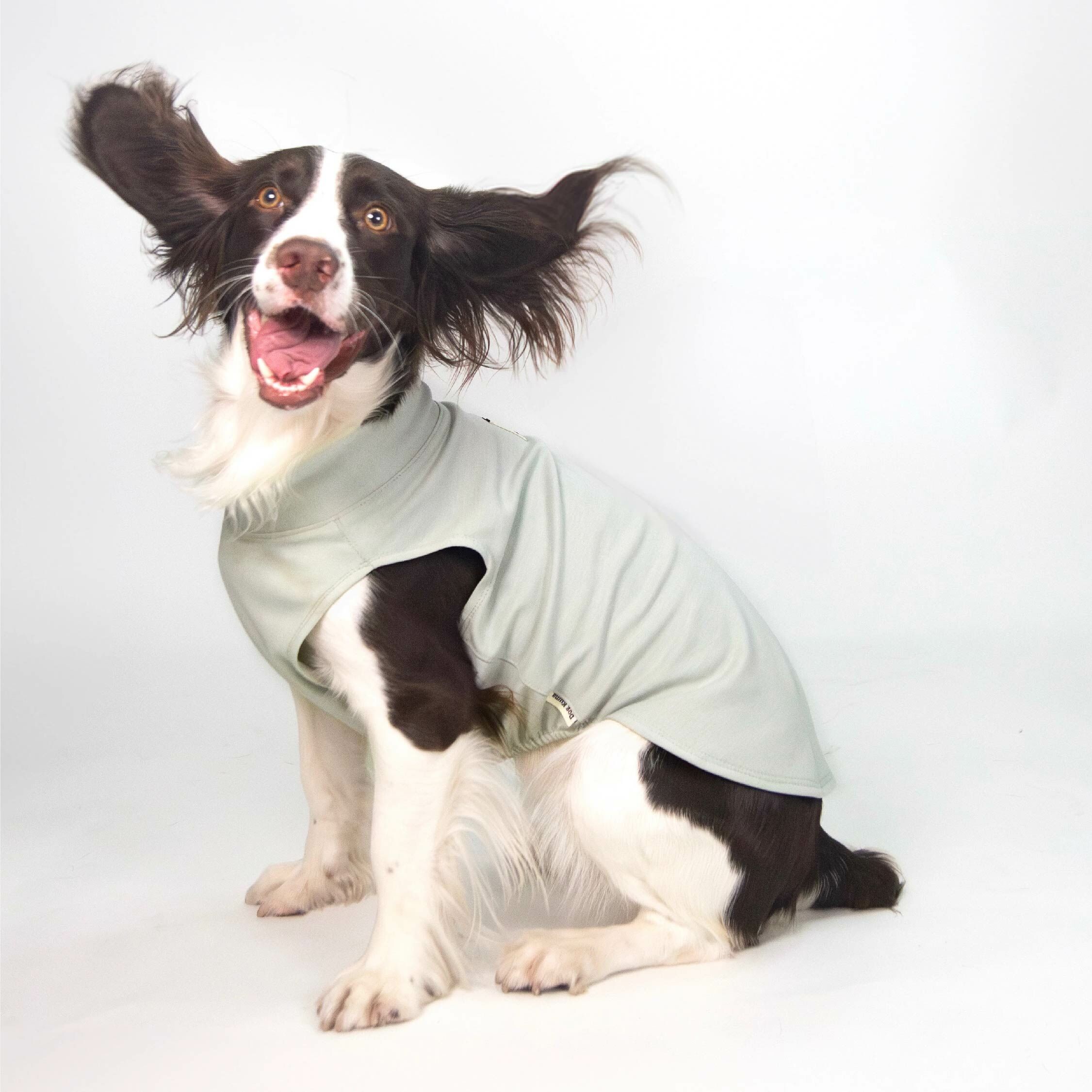 DOGKUMA - 多巴胺背心 (炭灰綠/鵝黃色)