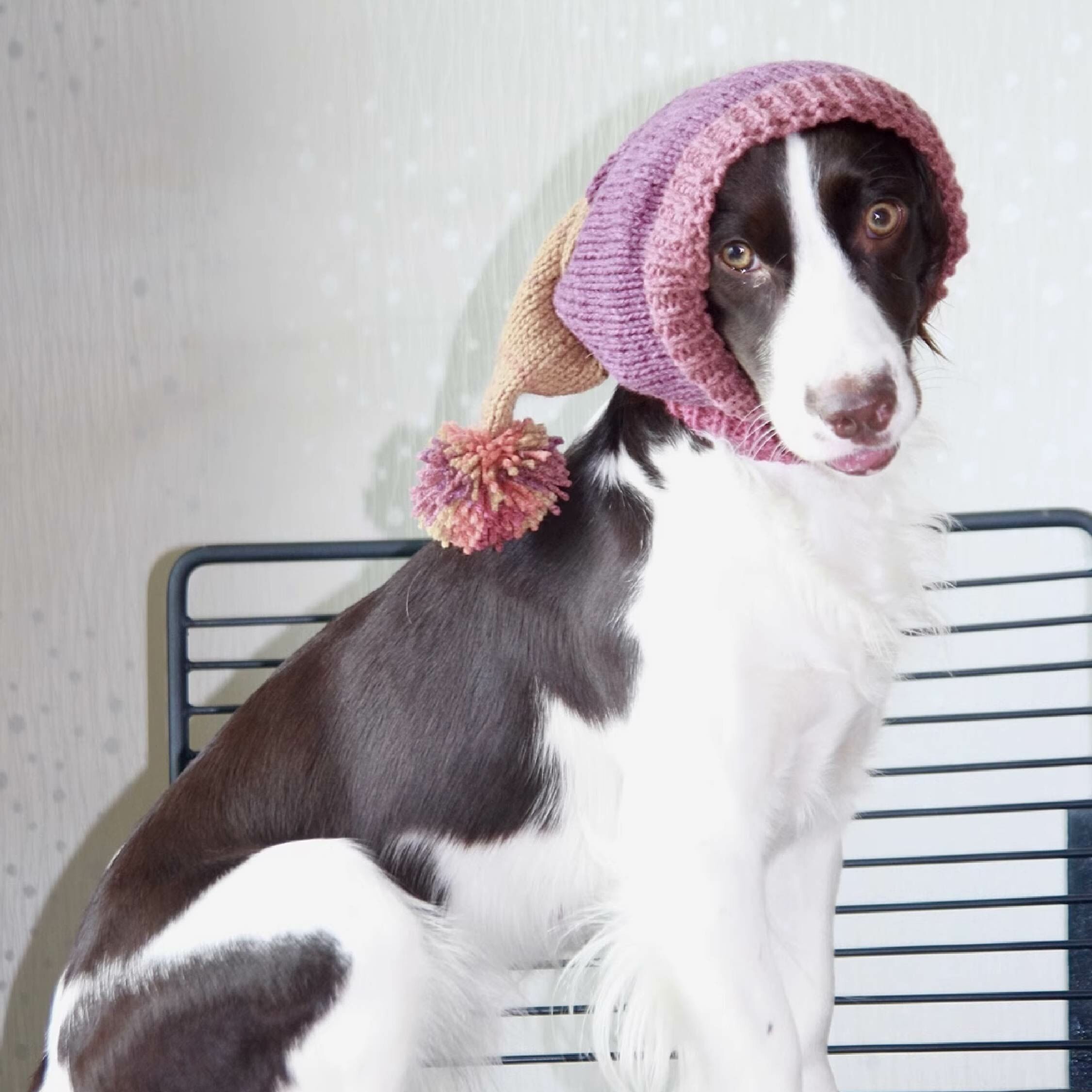 DOGKUMA - 狗狗可爱毛球手工針織帽