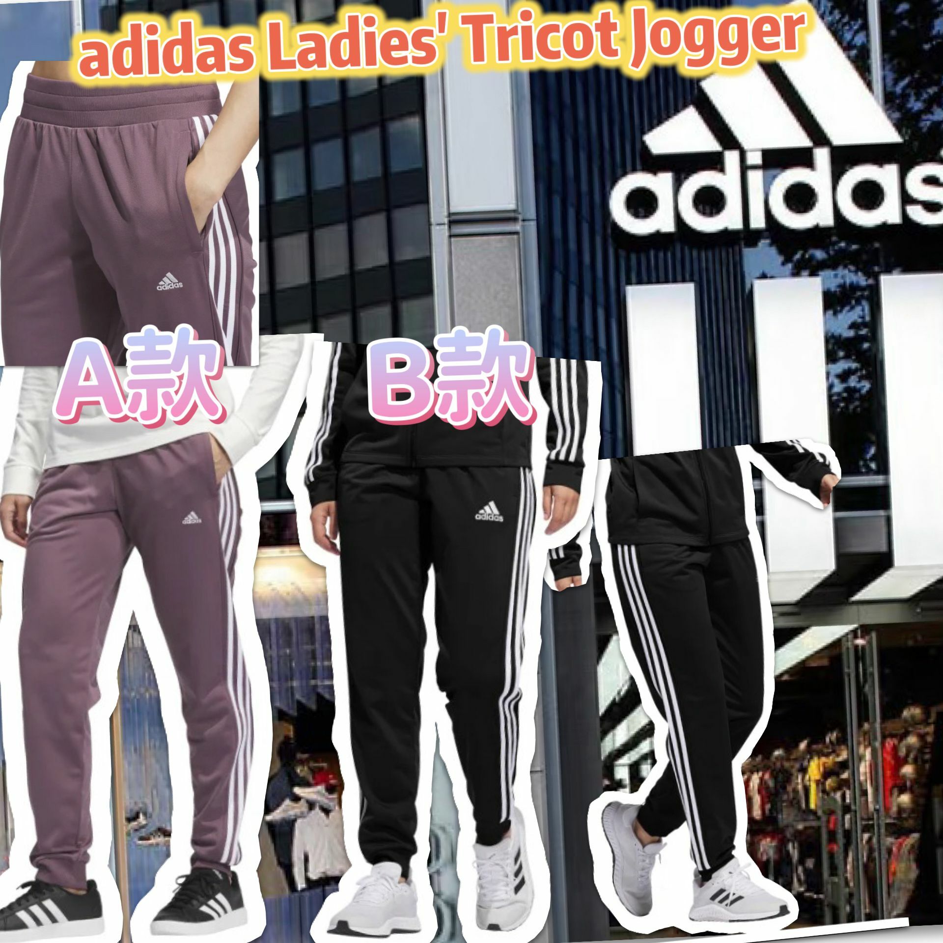 【預購】ADIDAS Tricot G121117 女裝運動褲