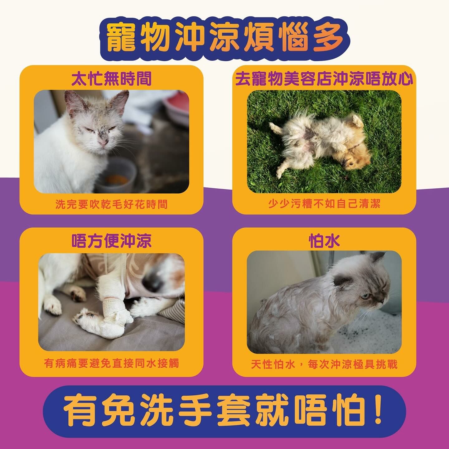 AQUA PRO+ TECH 寵物日日SPA手套(10片裝)