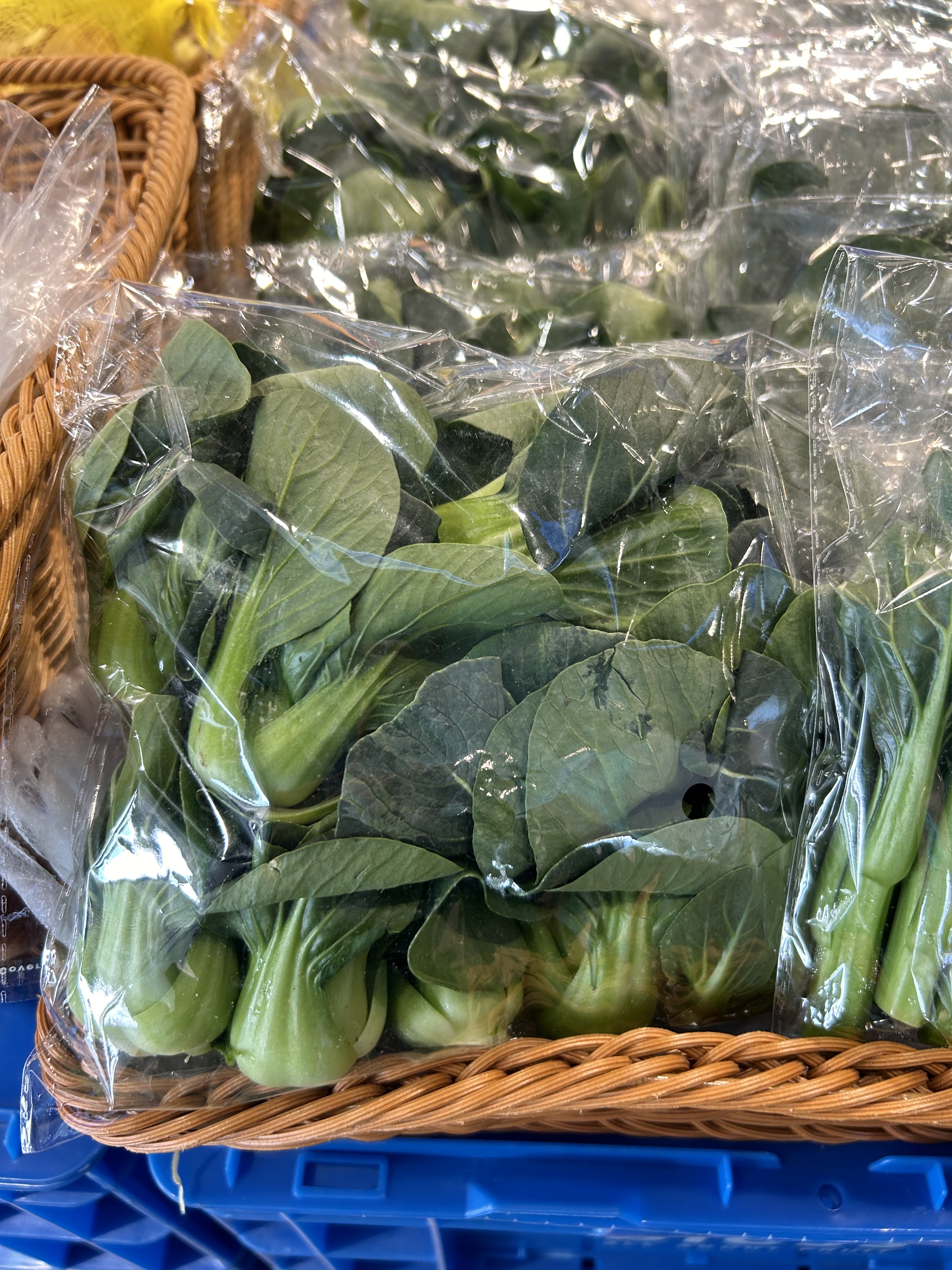 Bless 菜 - 小棠菜苗 21