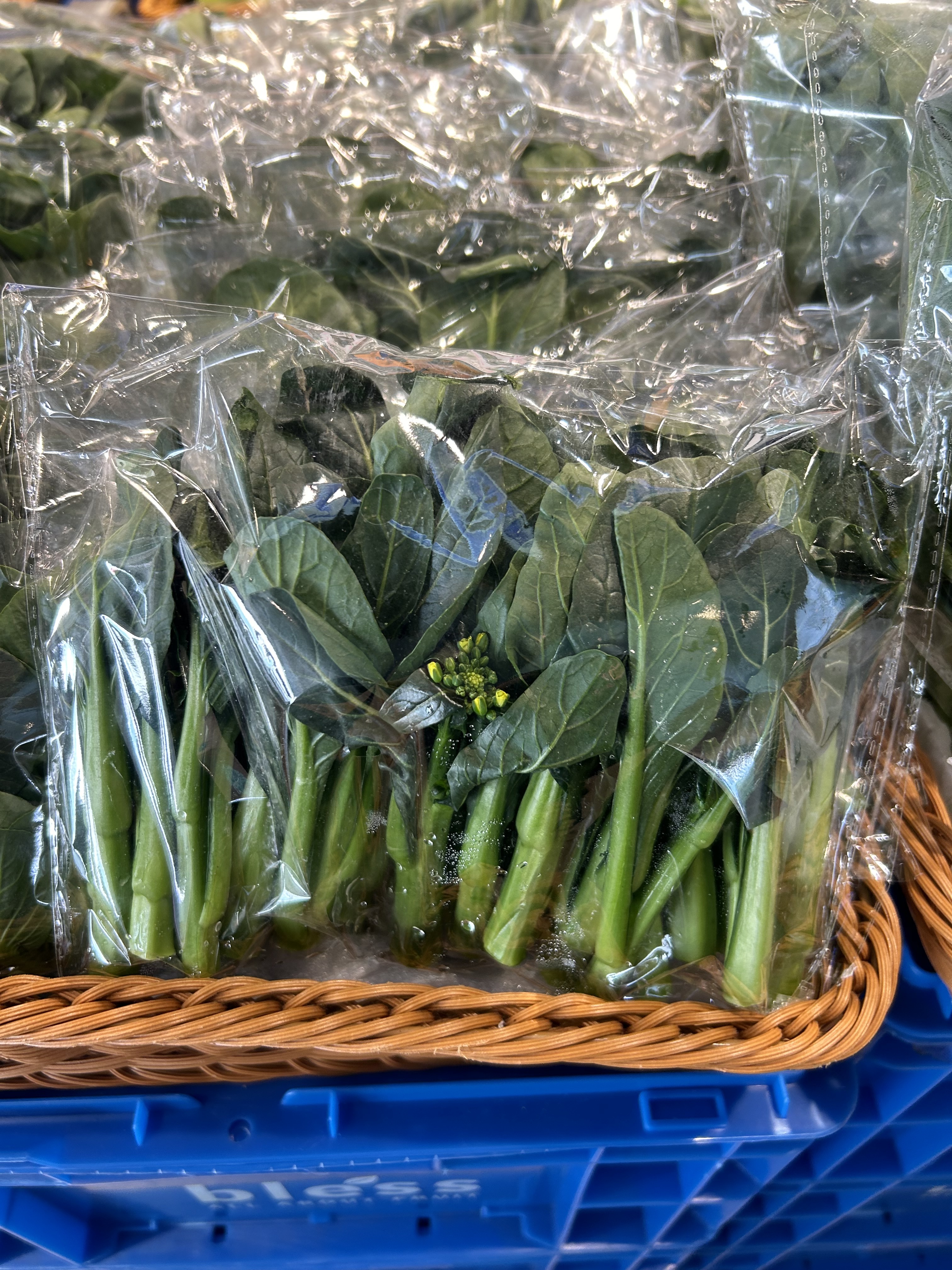 Bless - 菜 - 菜心苗 20