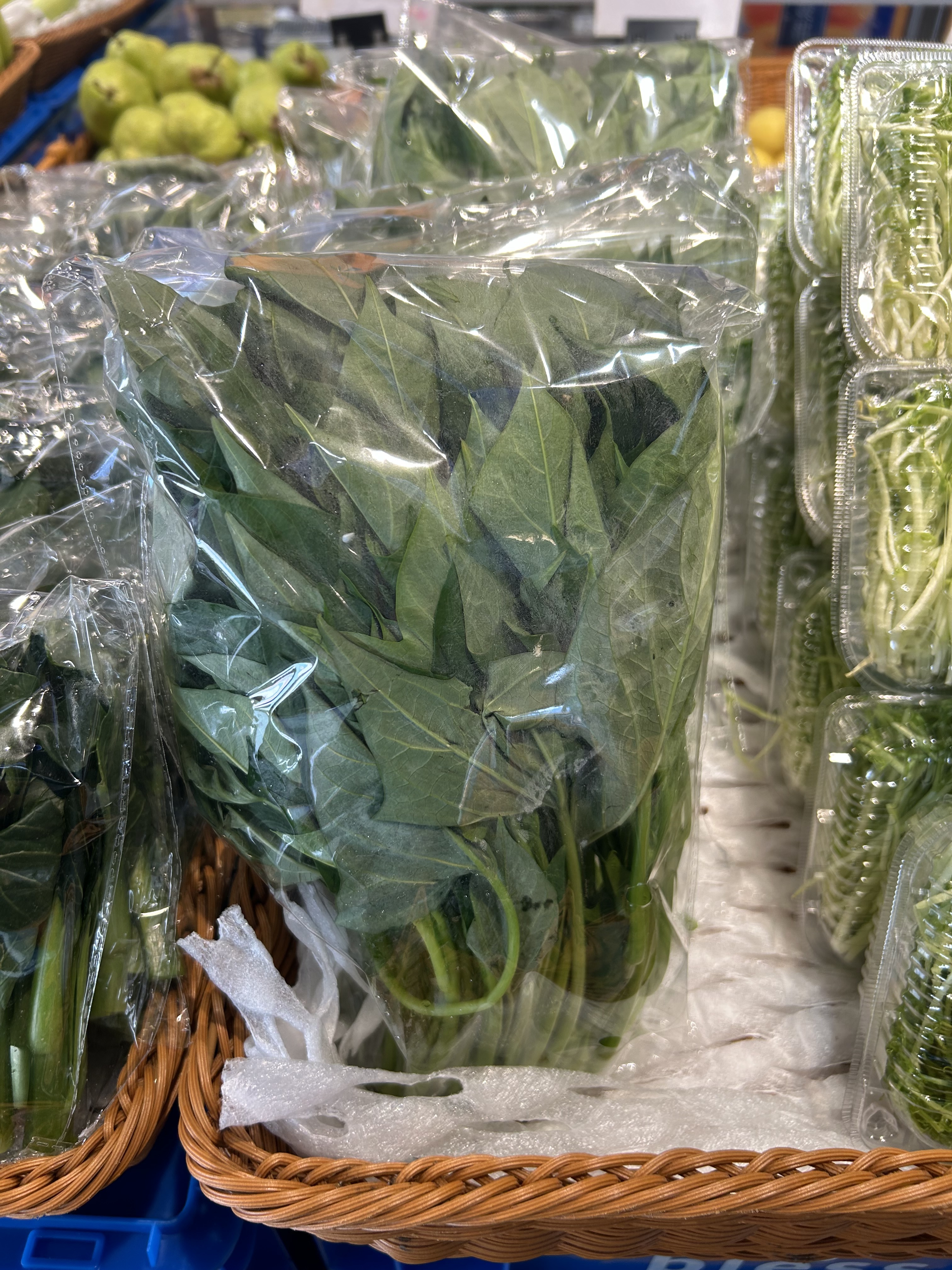 Bless - 菜 - 番薯苗 19