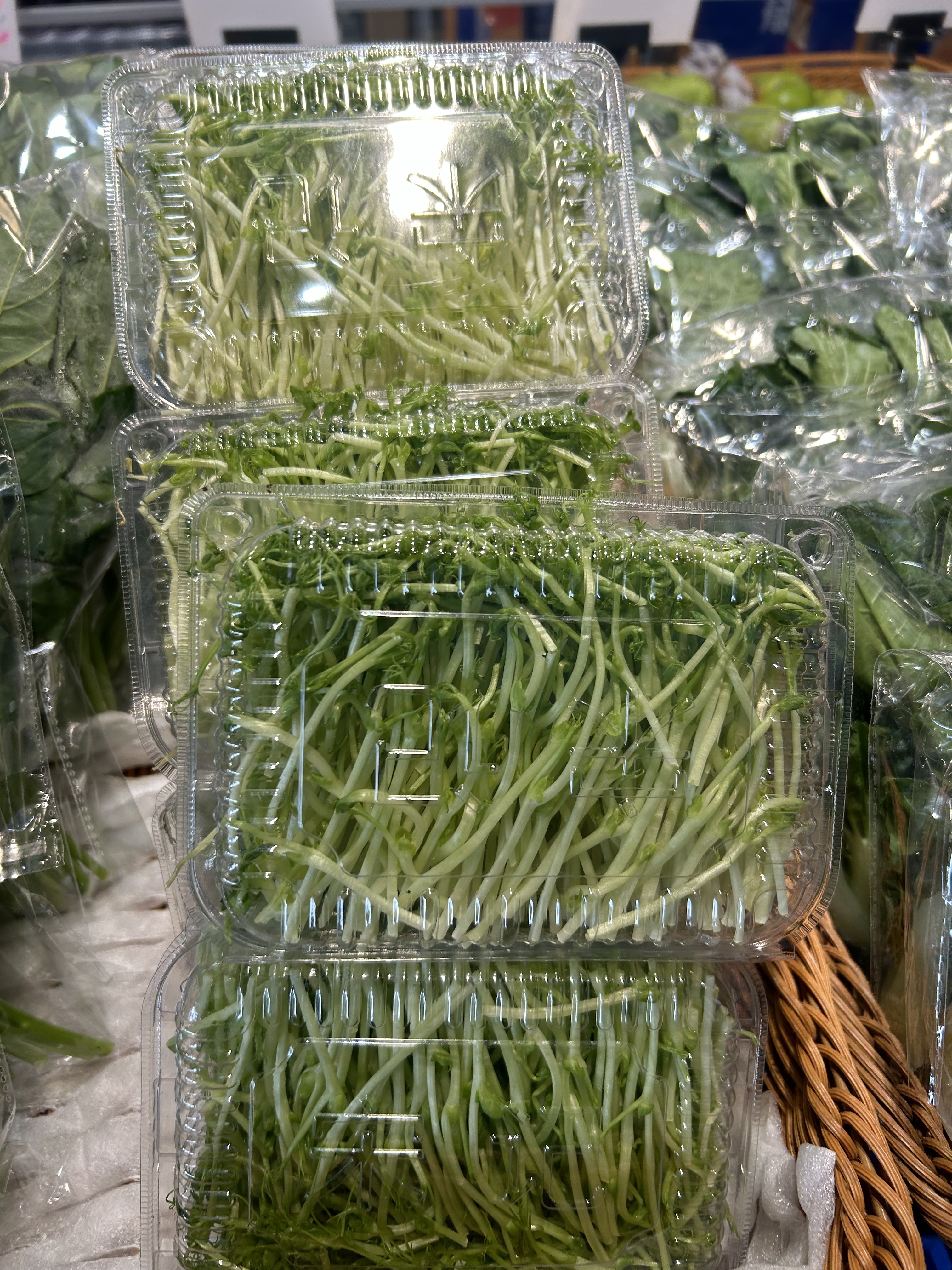 Bless - 菜 - 翡翠苗 18