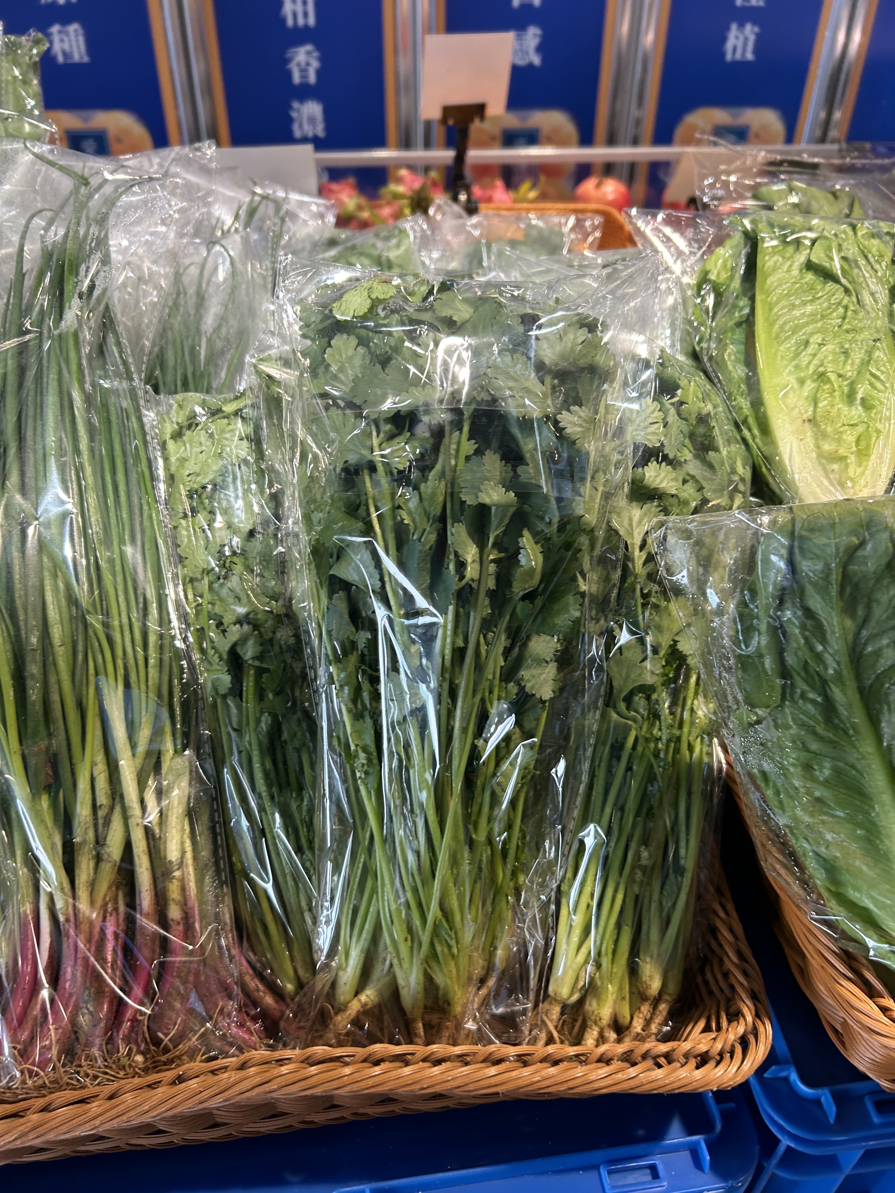 Bless - 菜 - 芫荽 12