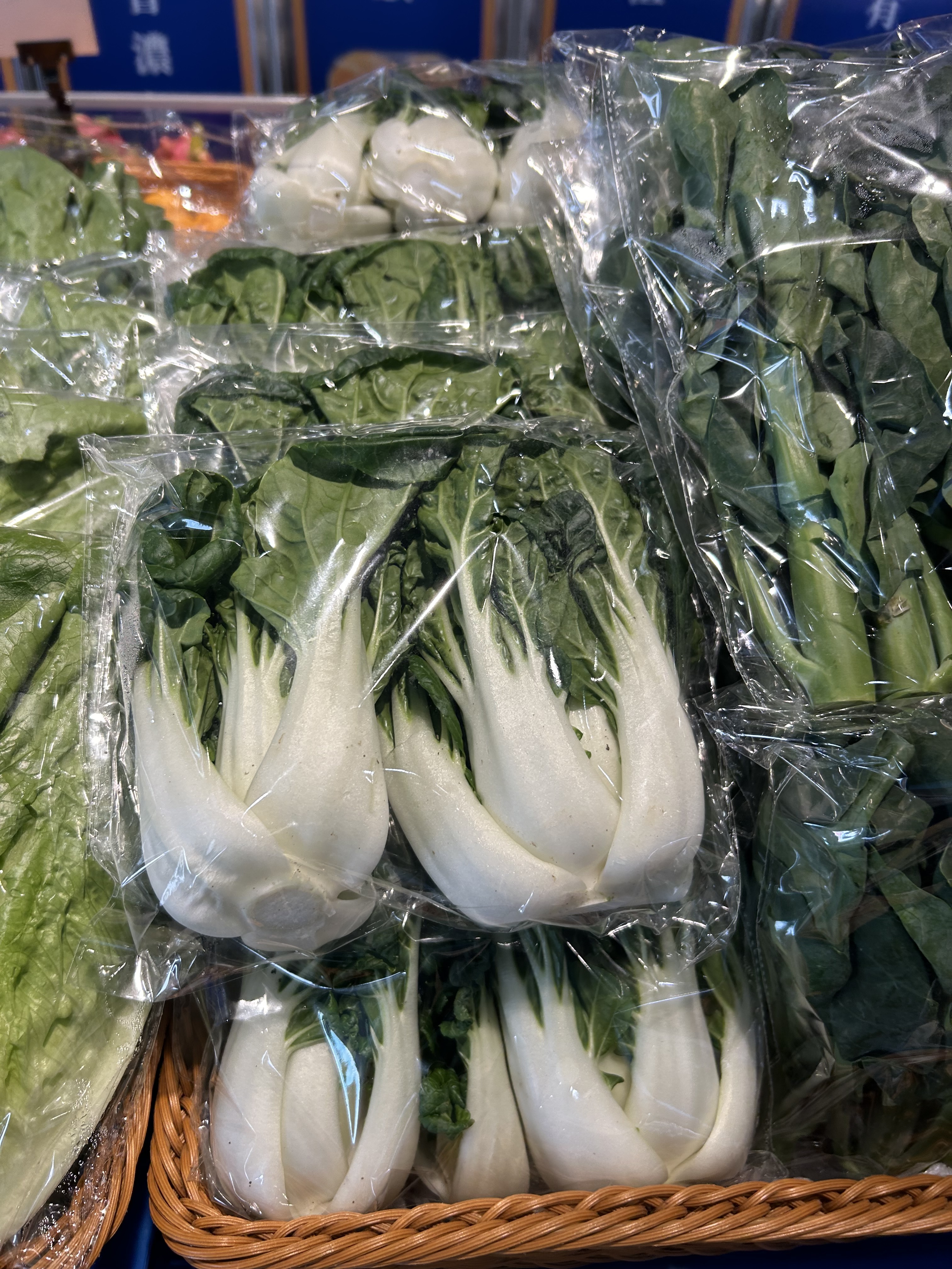 Bless 奶白菜 菜 11