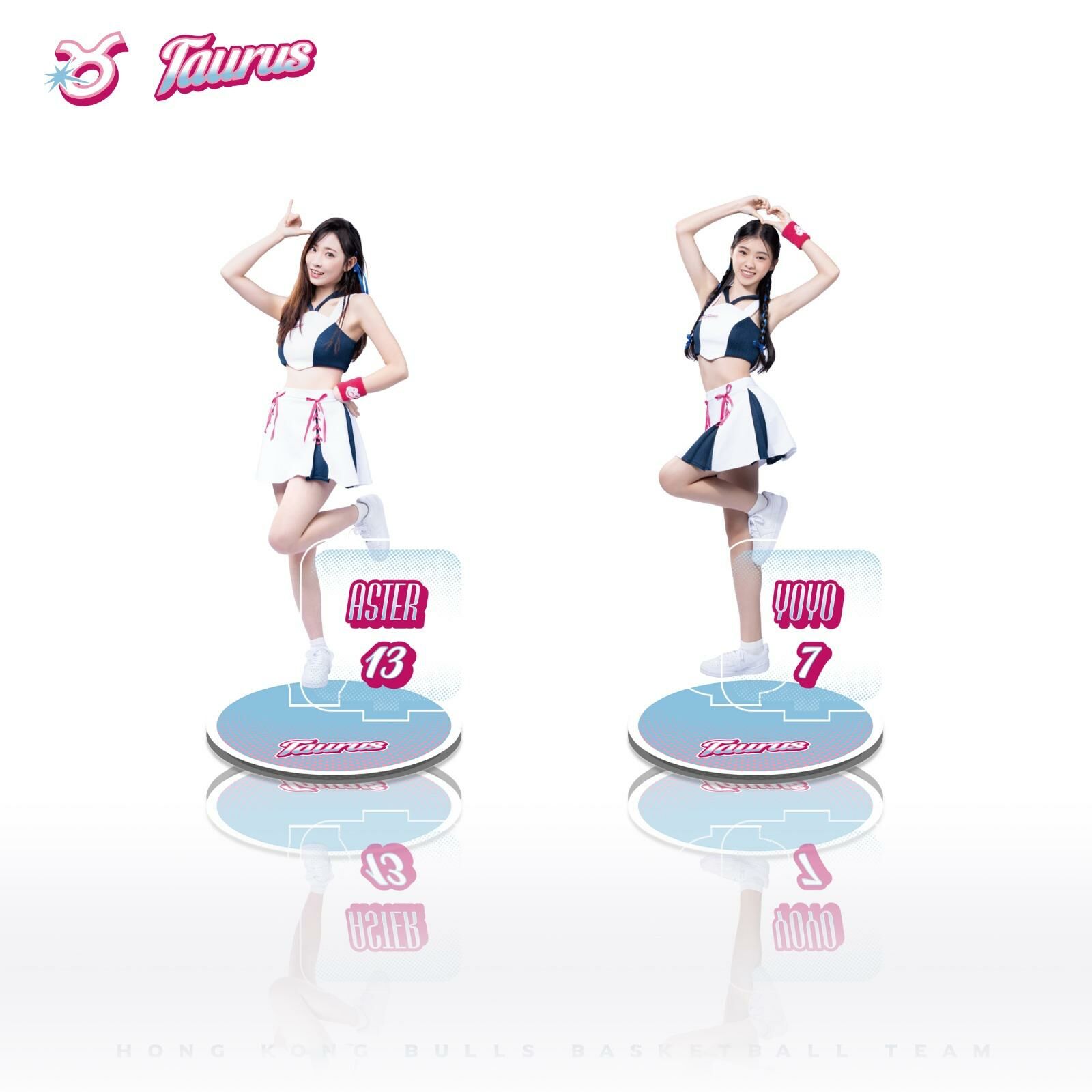 Taurus 座枱小立牌 (盲盒)