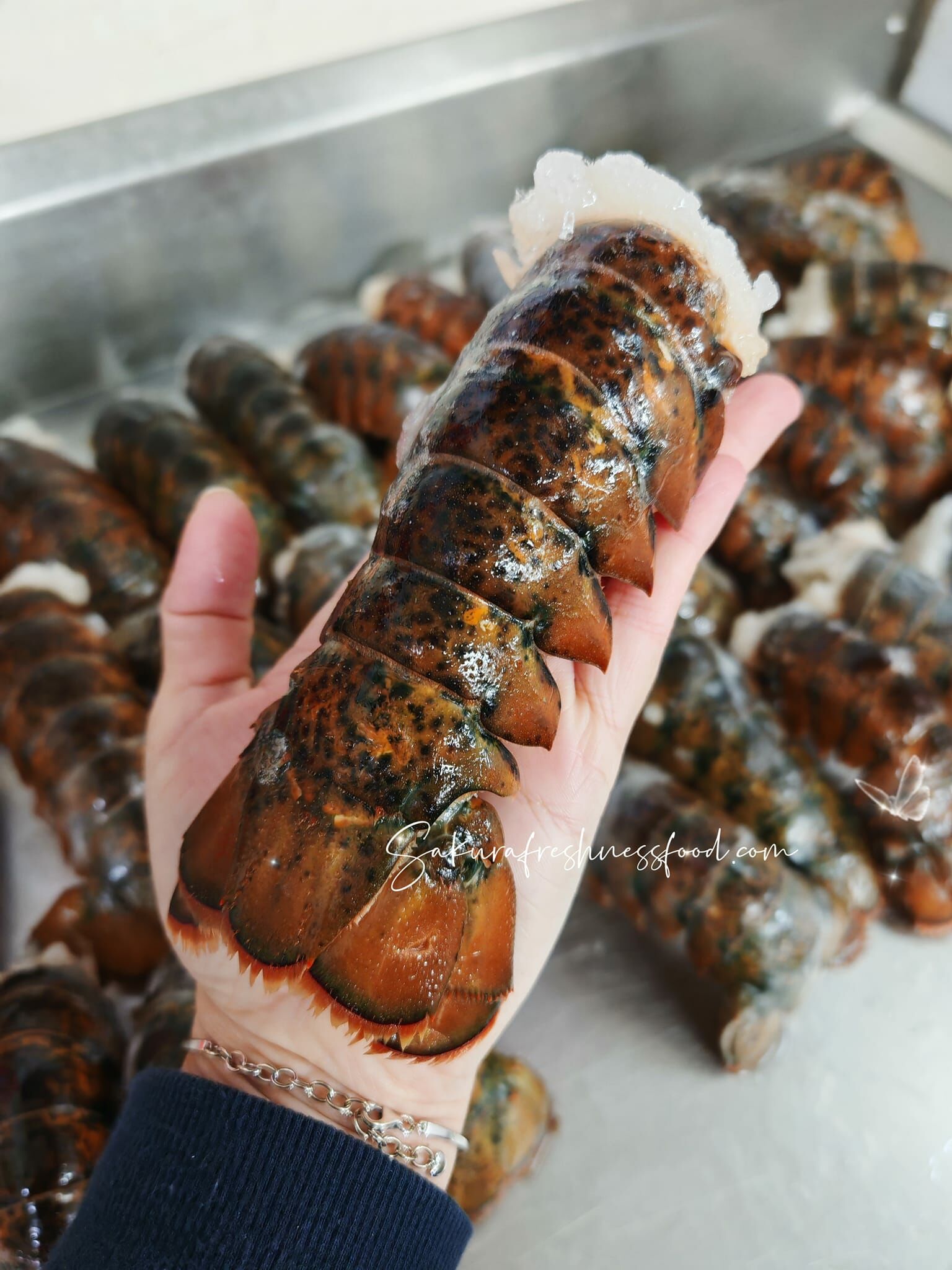 12月優惠-加拿大野生龍蝦尾（2隻裝）