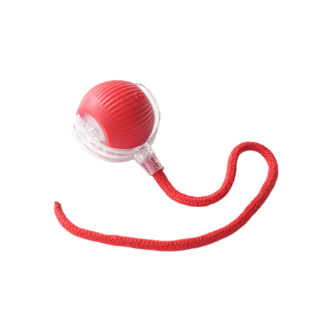 聰明滾滾球 逗貓球 電動逗貓球 逗狗球