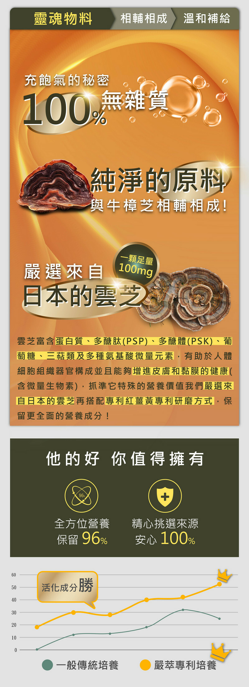 複方牛樟芝王-日本雲芝-嚴萃保健-熬夜-體力-術後補養