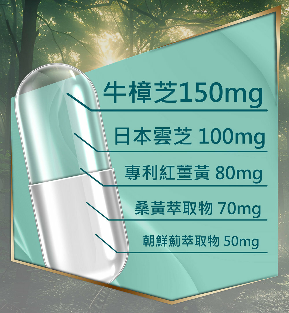 複方牛樟芝王-日本雲芝-嚴萃保健-熬夜-體力-術後補養