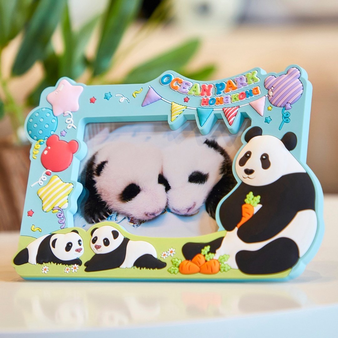 2R Panda Party Family Photo Frame
