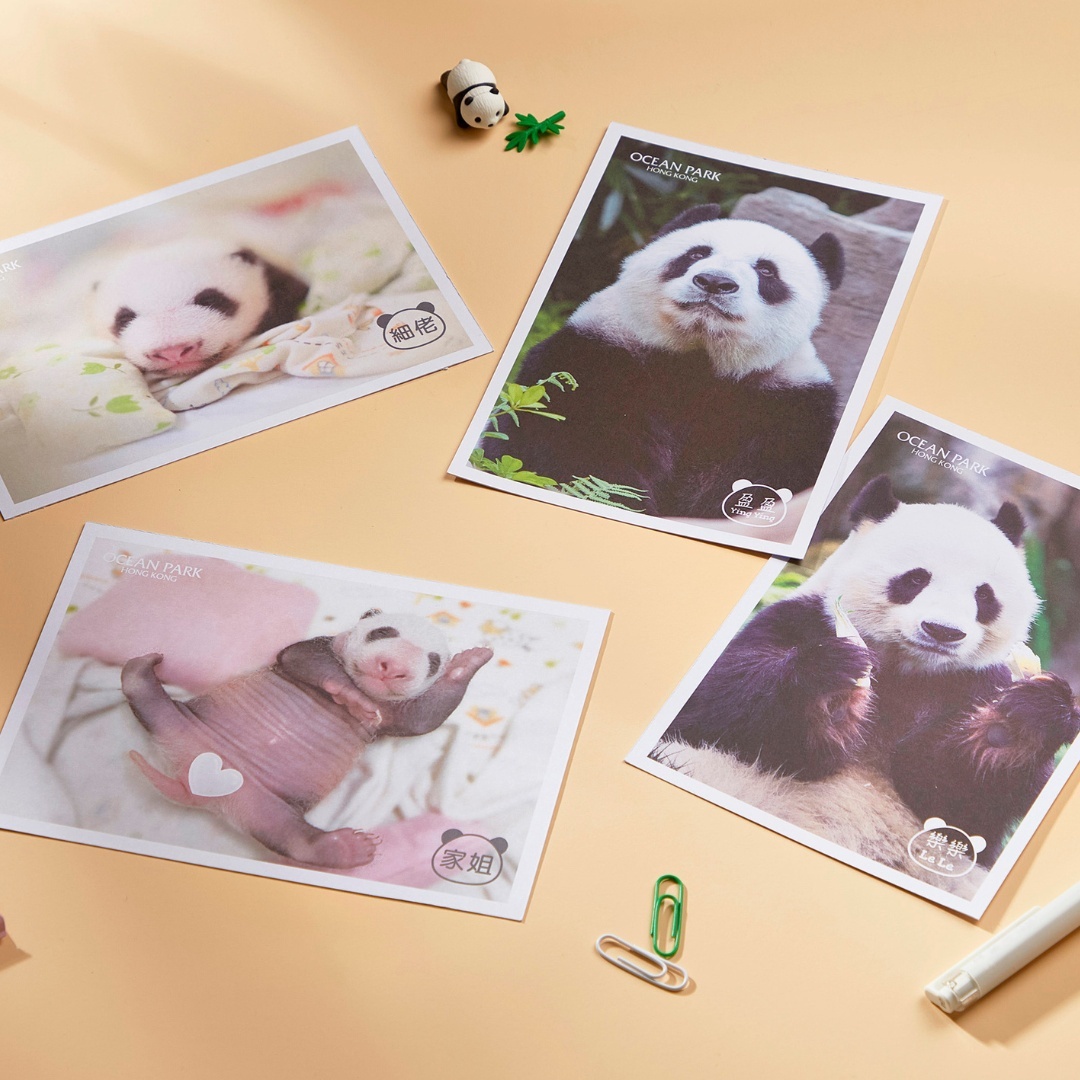 Postcard 4pcs Set - Ying Le & Babies