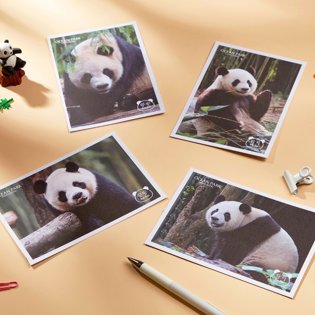 Postcard 4pcs Set – An An & Ke Ke