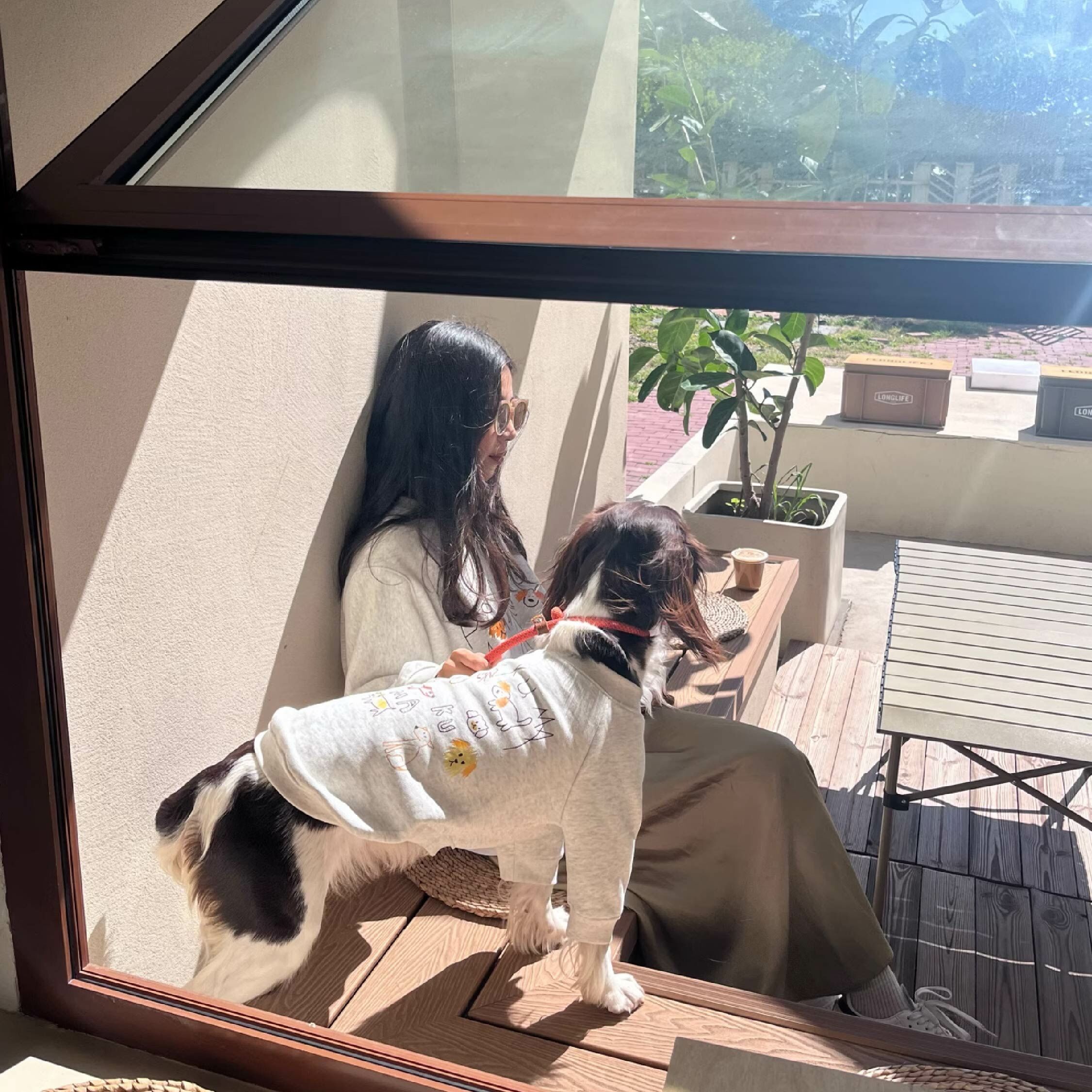 DOGKUMA - 親子塗鴉大學踢-狗狗款