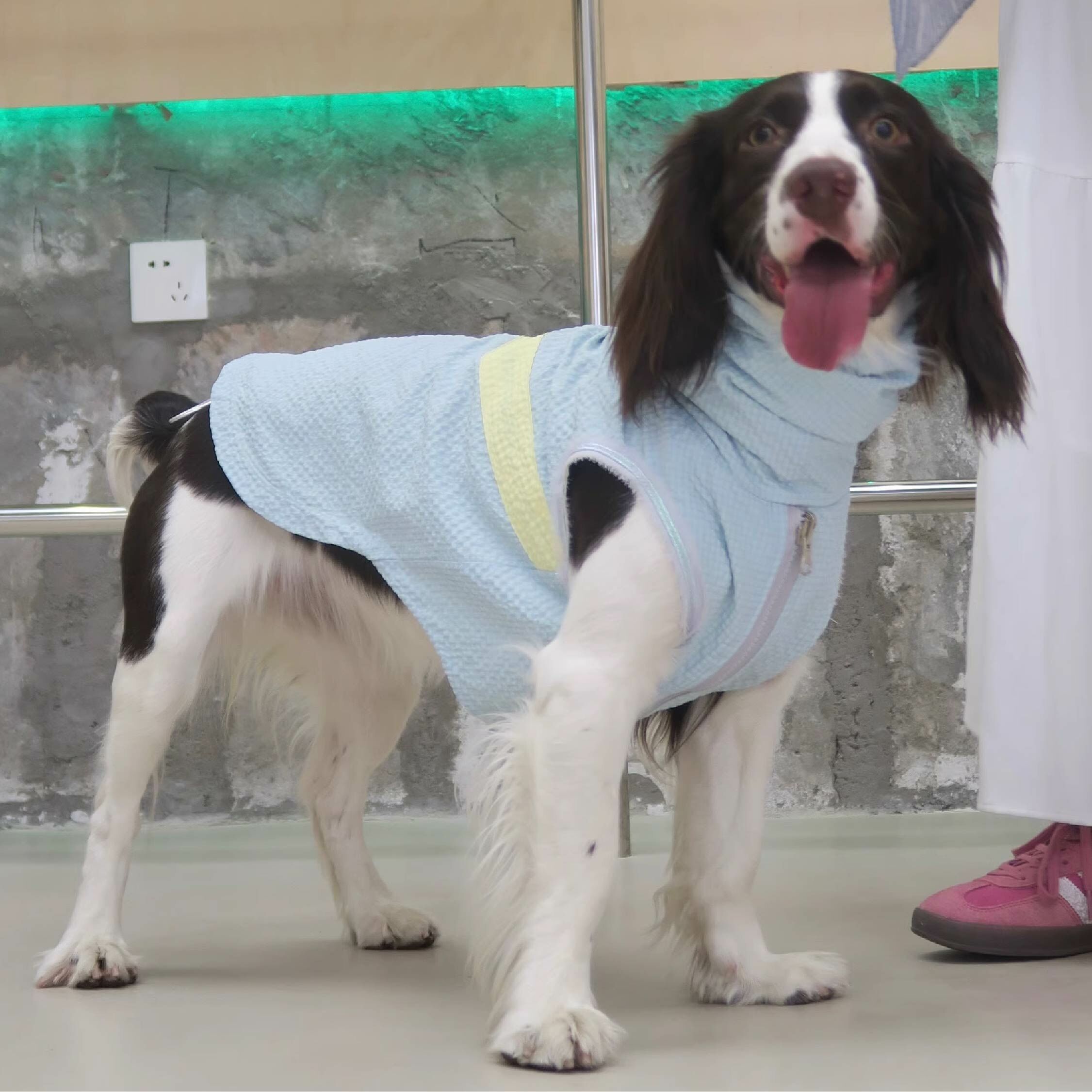 DOGKUMA - 雙面可穿防曬防蟲衣