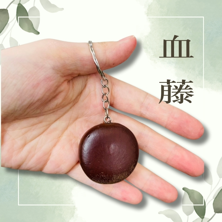 斗六院｜3入組手作種子吊飾