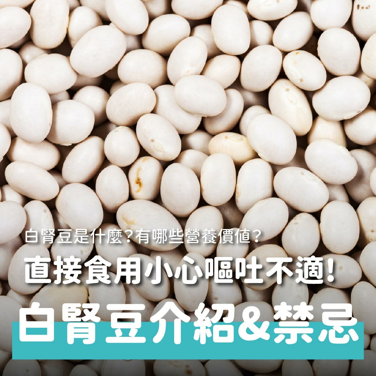 白腎豆是什麼？有哪些營養價值？直接食用小心嘔吐不適找上身！