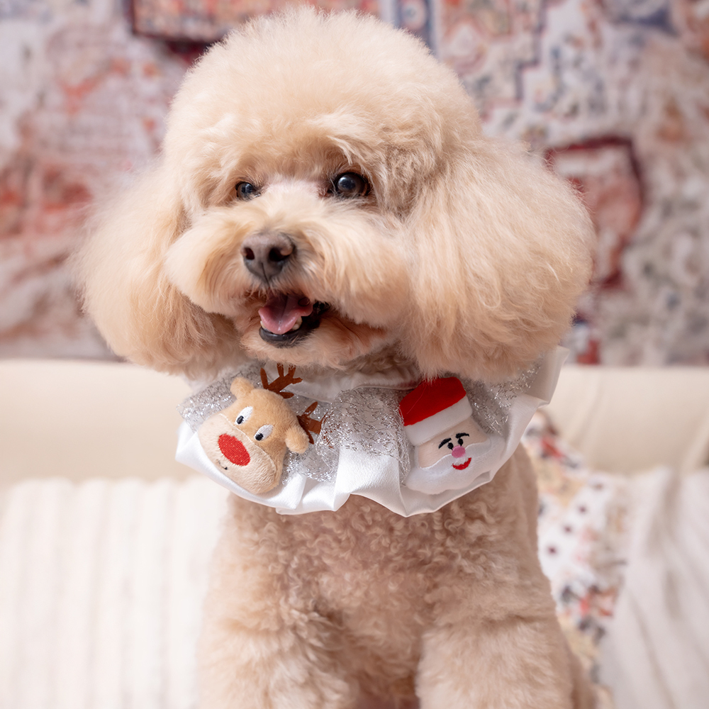 X'MAS White Collar with Stuffed Toy